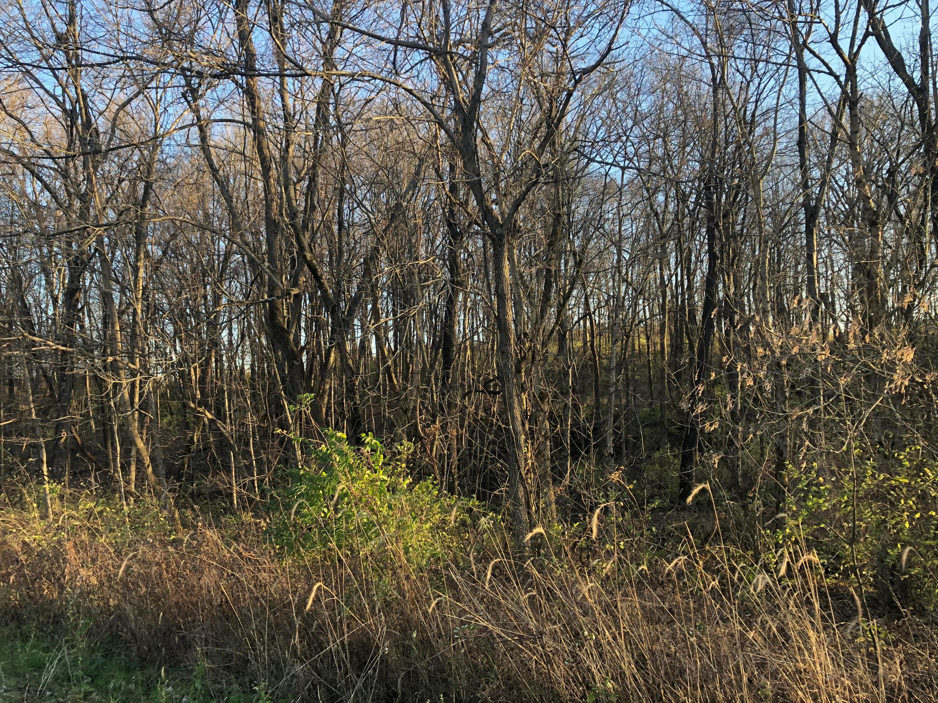 0 Moxley Road Bainbridge, OH 45612 - Photo 1 of 3 Gallery Image 1