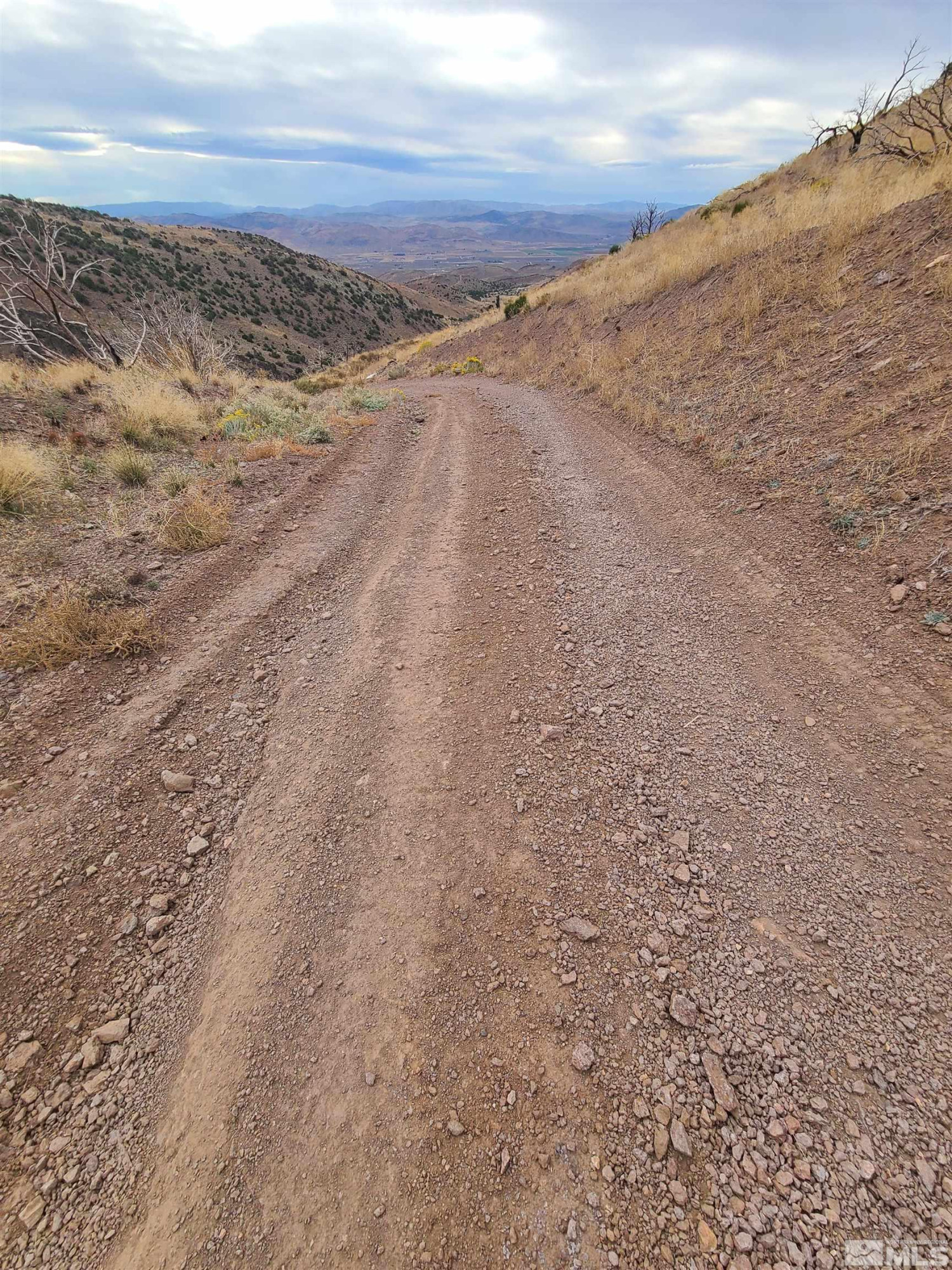 2200 Piute Creek Road, Unit 43 Reno, NV 89510 - Photo 3 of 7 Photo 3