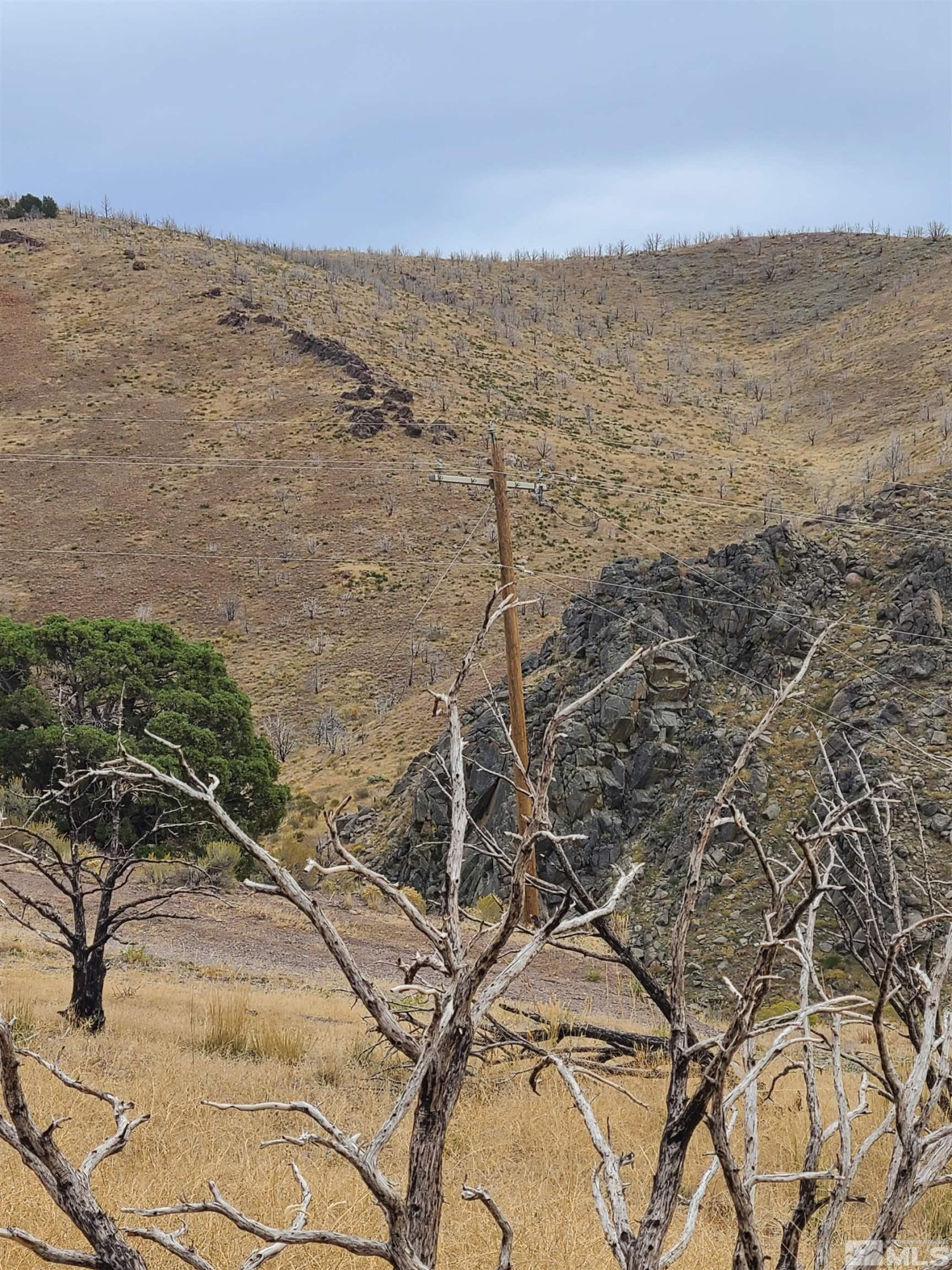 2200 Piute Creek Road, Unit 43 Reno, NV 89510 - Photo 4 of 7 Photo 4