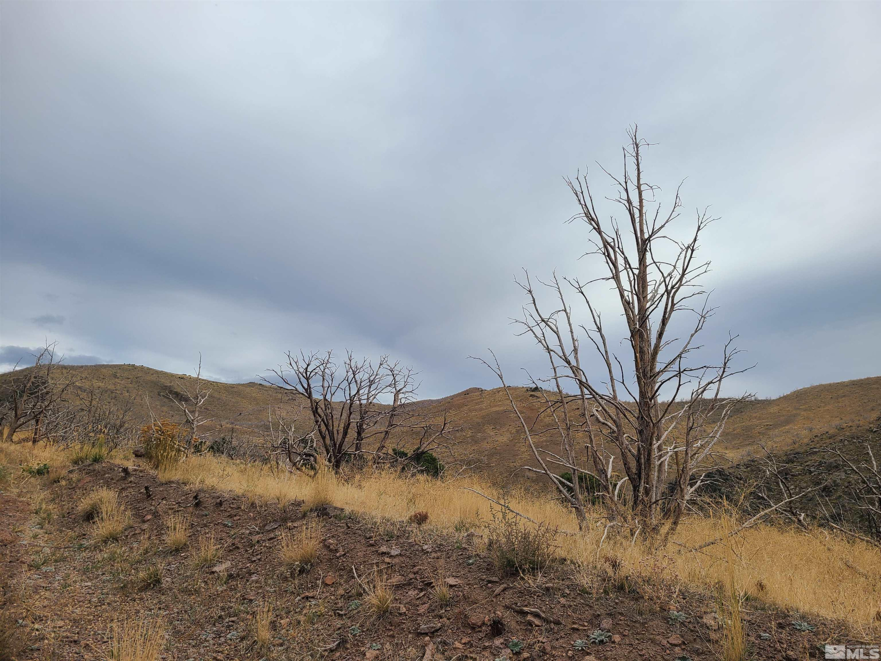 2200 Piute Creek Road, Unit 43 Reno, NV 89510 - Photo 5 of 7 Photo 5