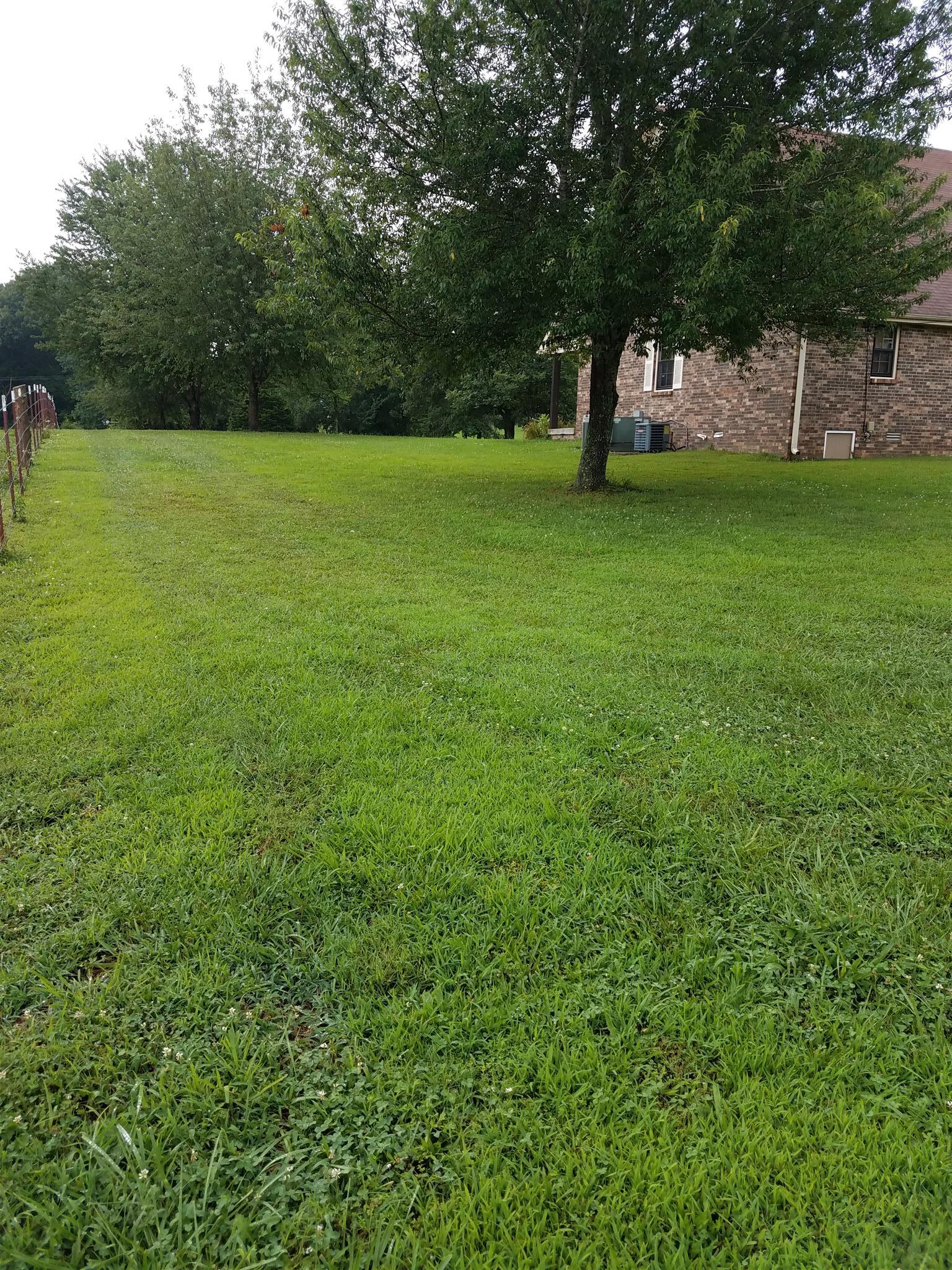 1520 Tidwell Switch Road Dickson, TN 37055 - Photo 10 of 30 Gallery Image 10