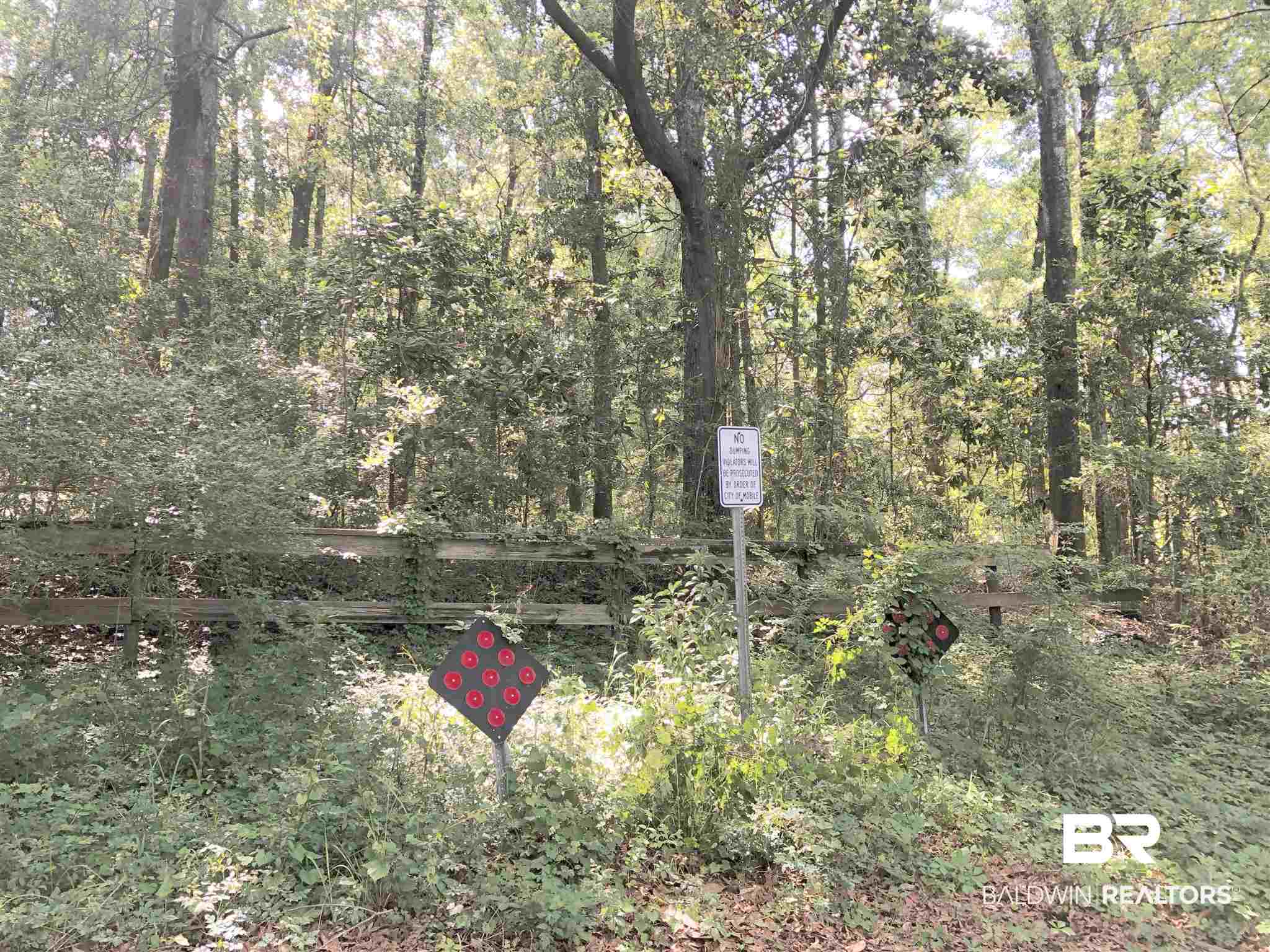 0 La Nain Drive Mobile, AL 36618 - Photo 1 of 4