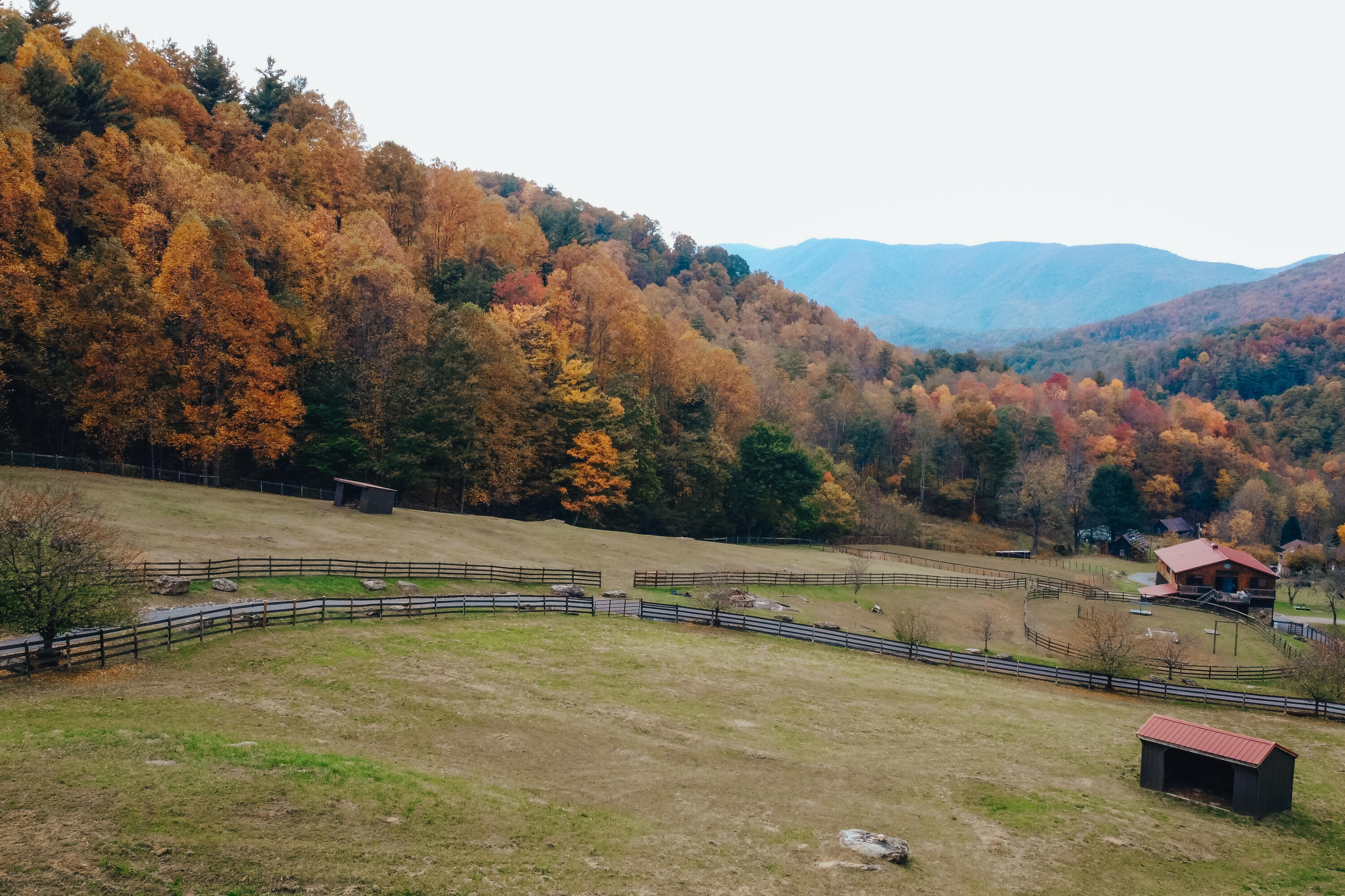 210 Chandler Cove Road Erwin, TN 37650 - Photo 78 of 89 ErwinMtnHouse-8