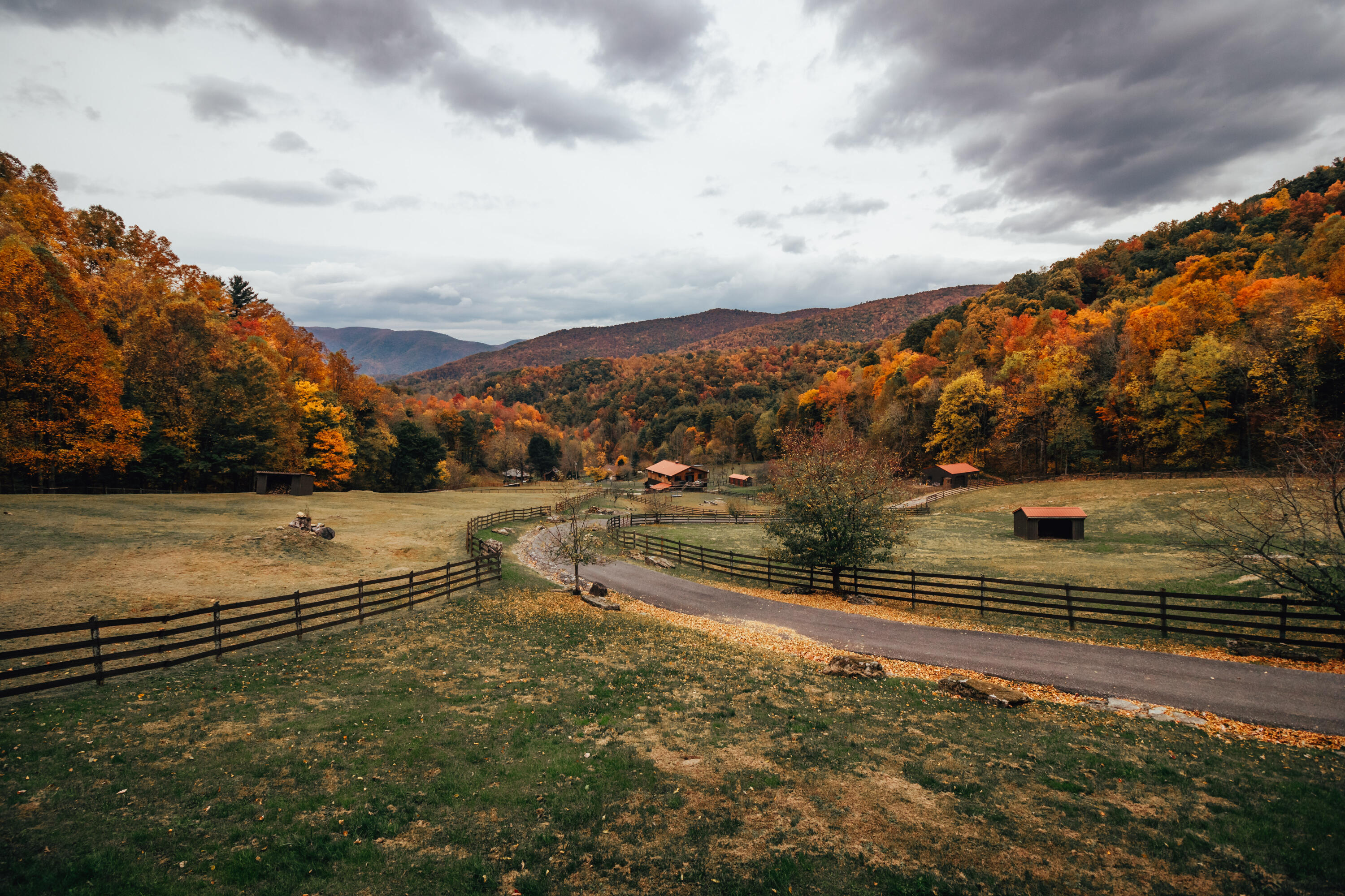 210 Chandler Cove Road Erwin, TN 37650 - Photo 81 of 89 ErwinMtnHouse-25