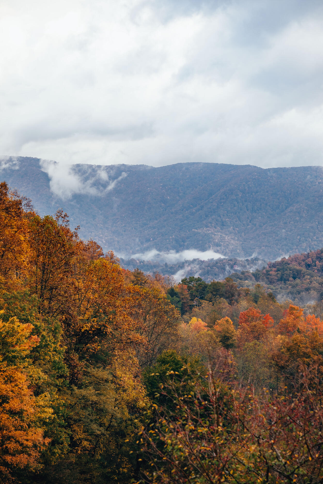 210 Chandler Cove Road Erwin, TN 37650 - Photo 82 of 89 ErwinMtnHouse-55