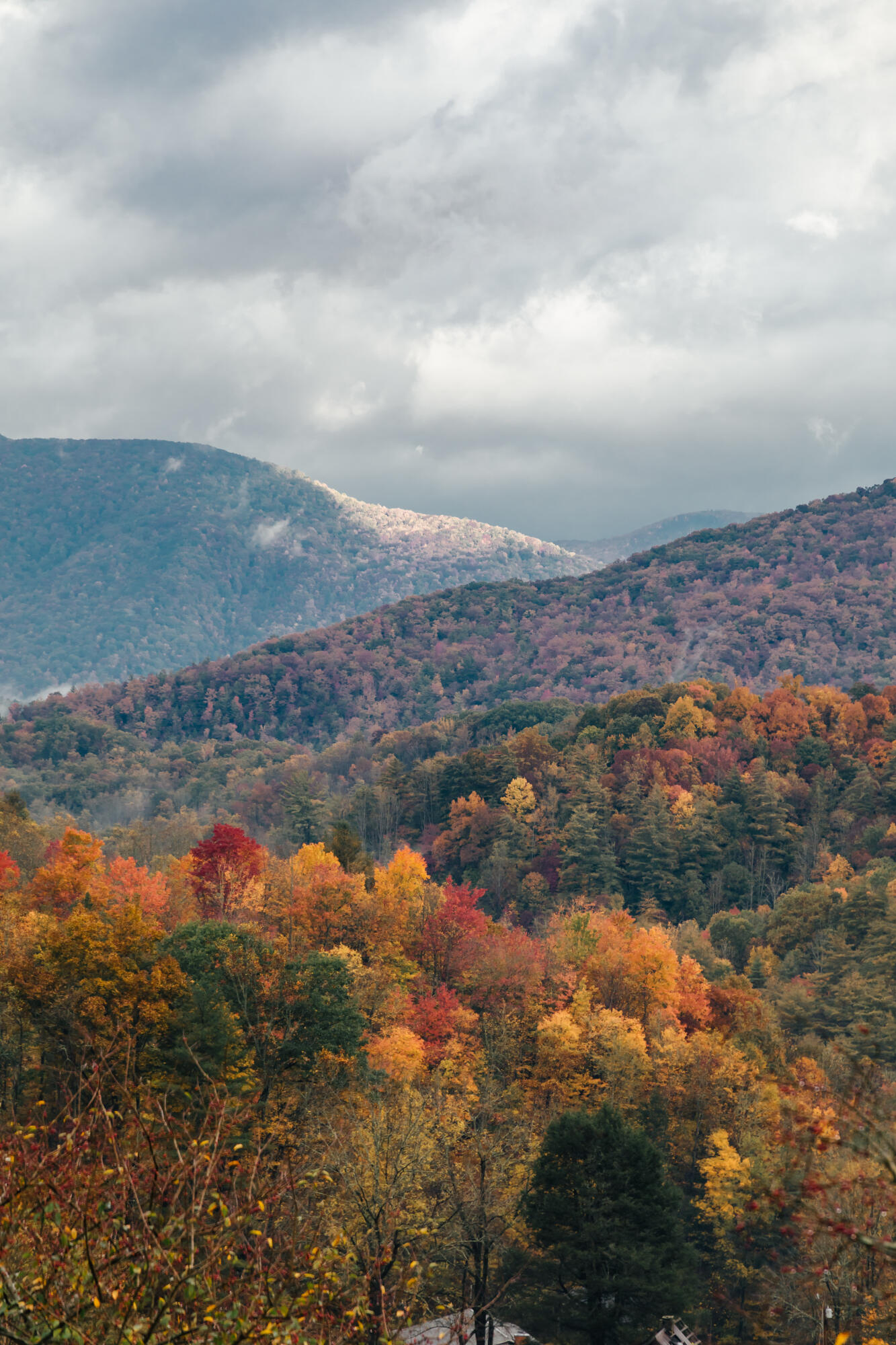210 Chandler Cove Road Erwin, TN 37650 - Photo 83 of 89 ErwinMtnHouse-56