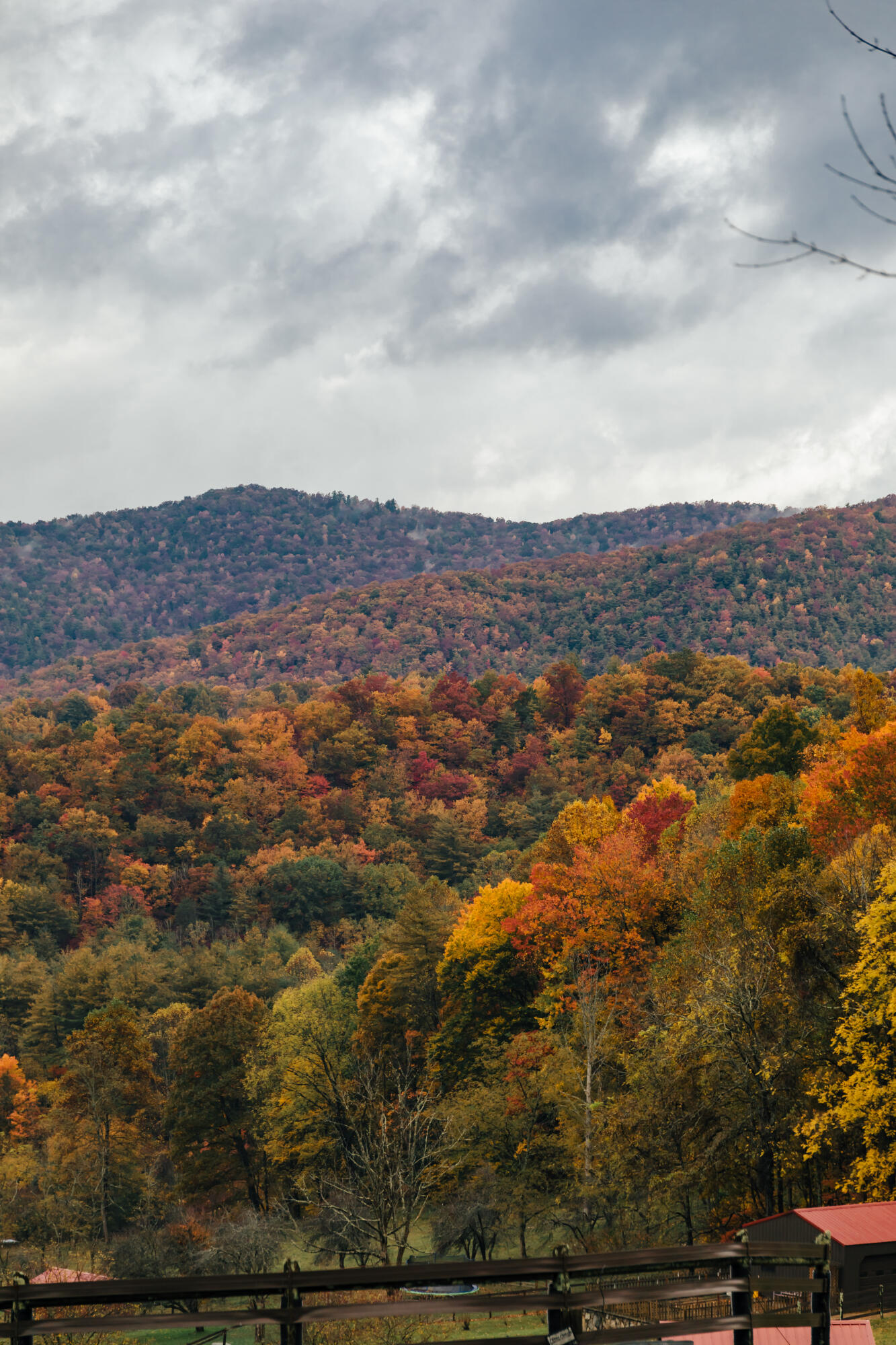 210 Chandler Cove Road Erwin, TN 37650 - Photo 84 of 89 ErwinMtnHouse-58