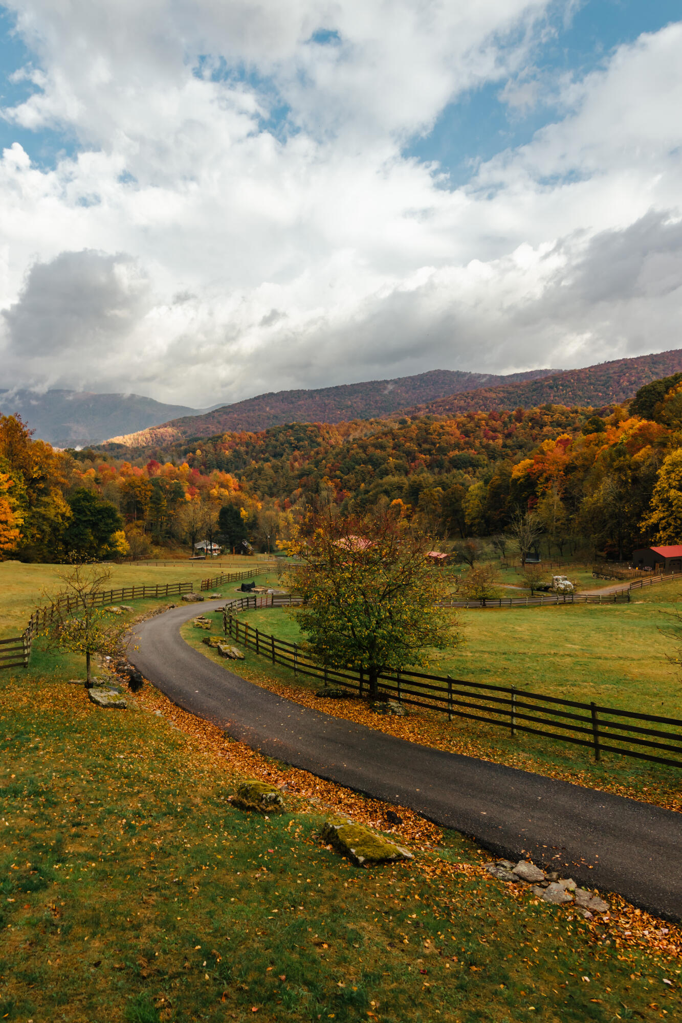 210 Chandler Cove Road Erwin, TN 37650 - Photo 87 of 89 ErwinMtnHouse-63