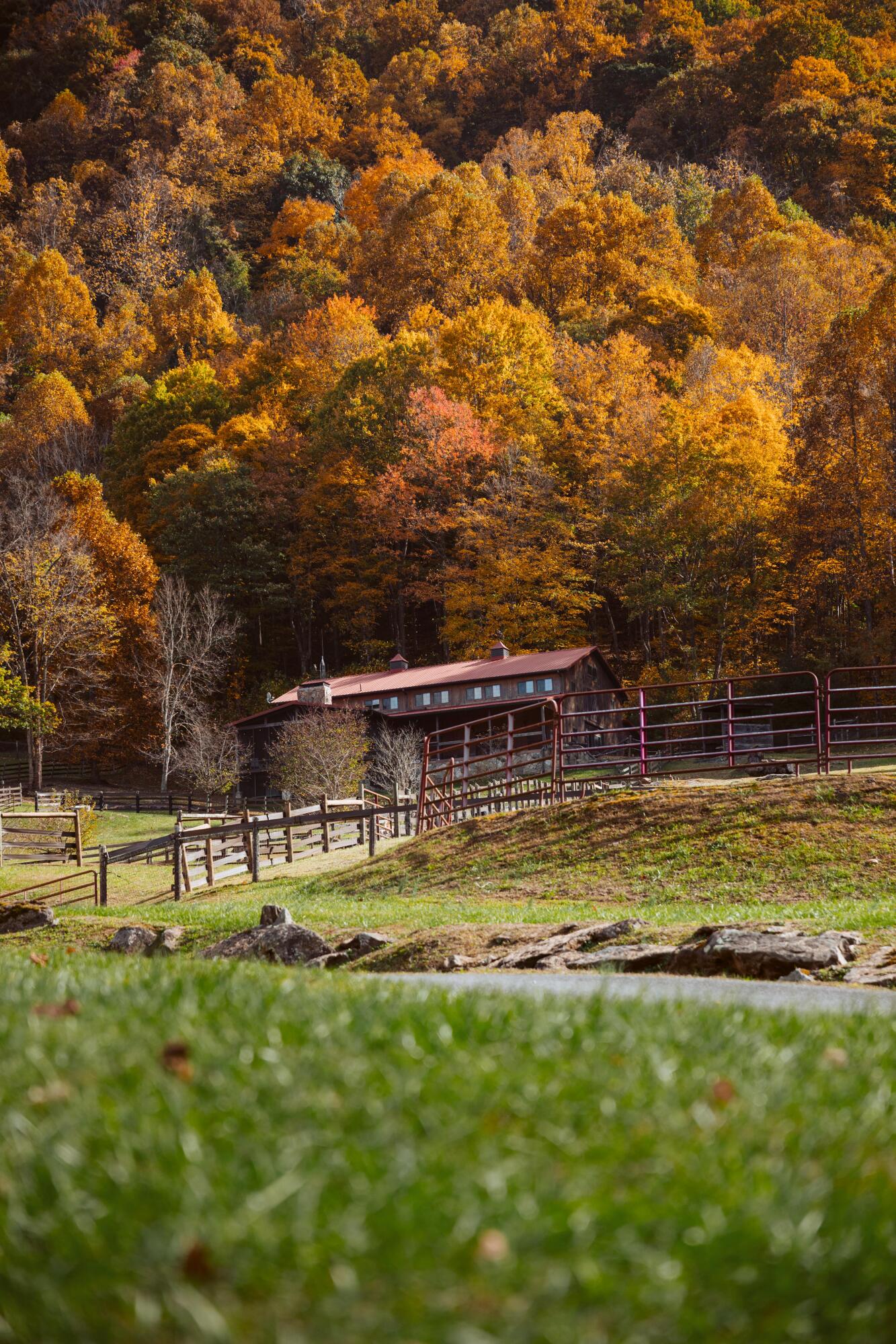 210 Chandler Cove Road Erwin, TN 37650 - Photo 88 of 89 ErwinMtnHouse-84