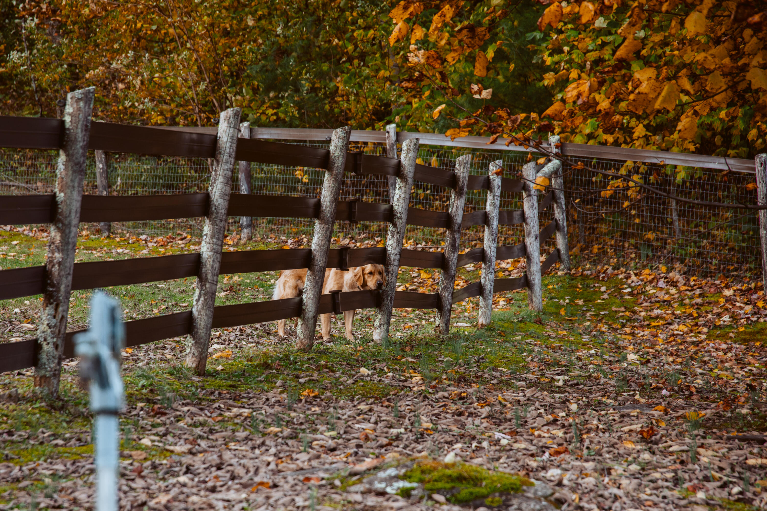 210 Chandler Cove Road Erwin, TN 37650 - Photo 89 of 89 ErwinMtnHouse-80
