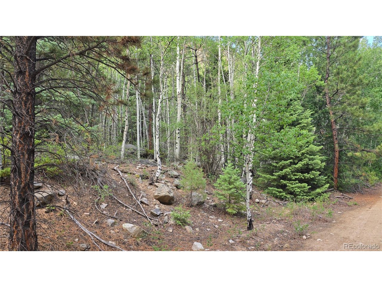 6474 Malcolm Road San Luis, CO 81152 - Photo 28 of 30