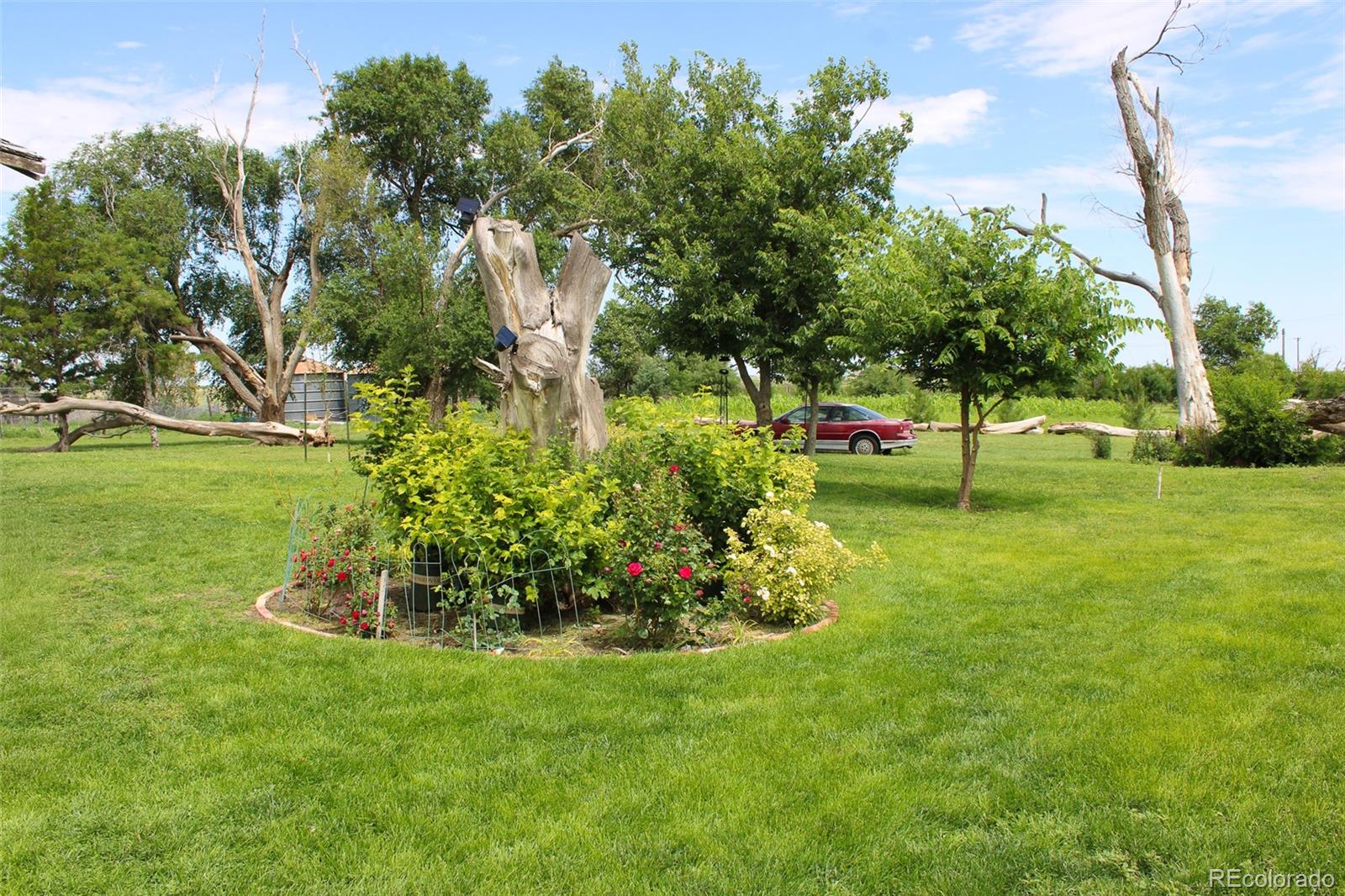1901 County Road East Joes, CO 80822 - Photo 4 of 36