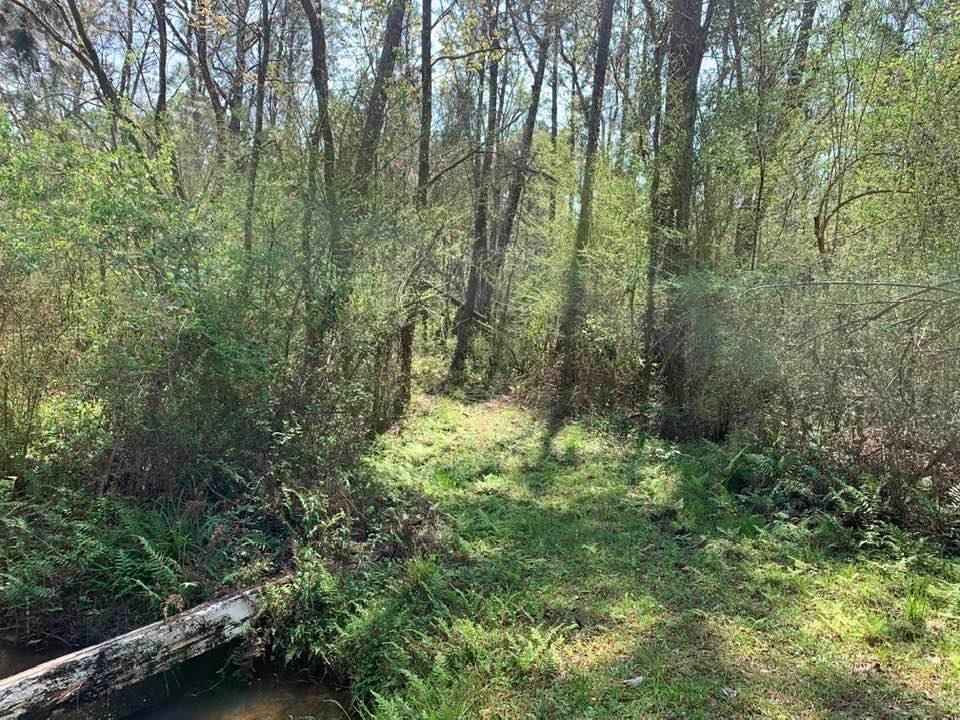 26264 Feely Road Elberta, AL 36530 - Photo 9 of 30