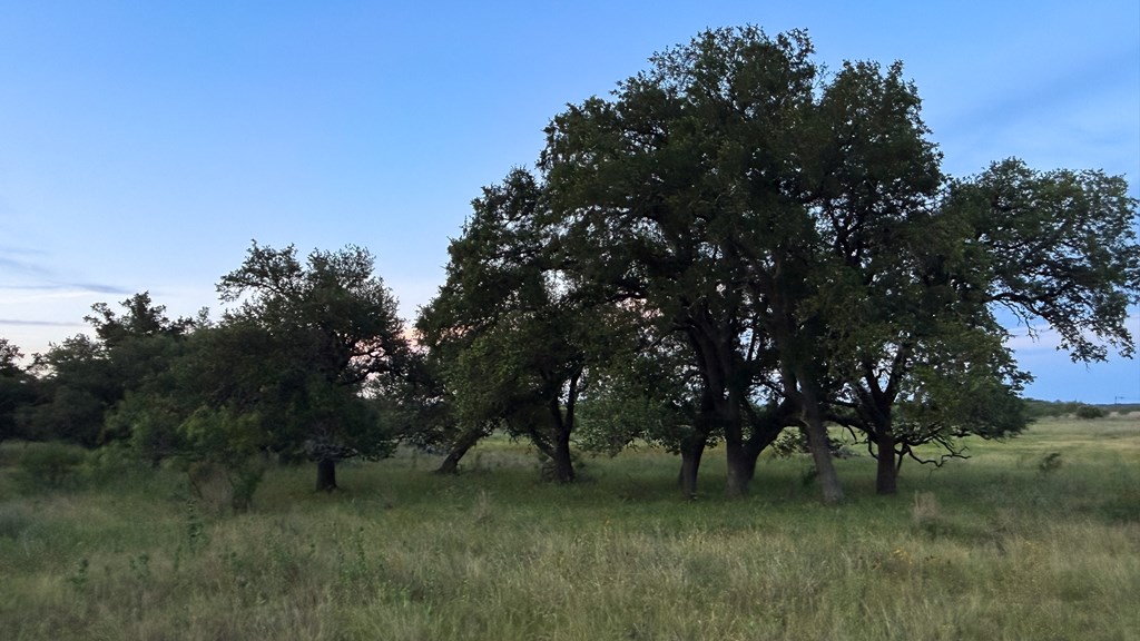 Lot #9 Slate Rock Road, Unit 9 Fredericksburg, TX 78624 - Photo 12 of 16