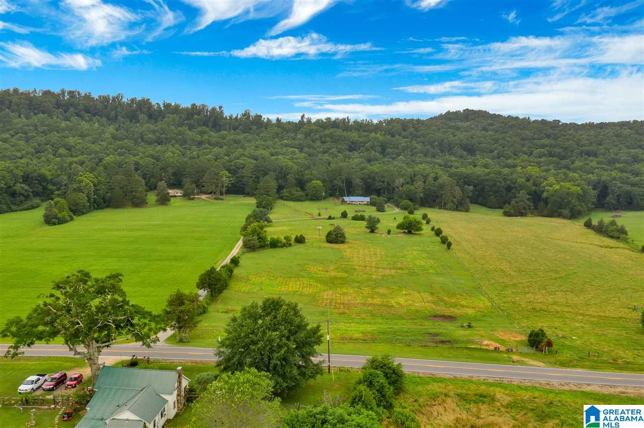 4367 County Road 39 Oneonta, AL 35121 - Photo 32 of 34