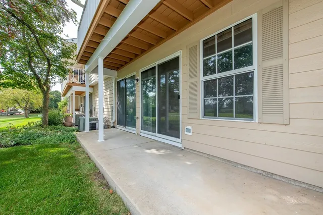 a view of backyard with large windows and a large tree