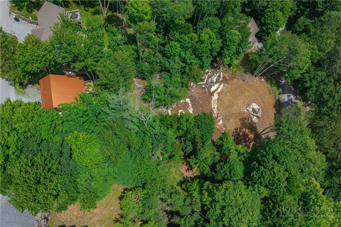 108 Windridge Road Beech Mountain, NC 28604 - Photo 47 of 49