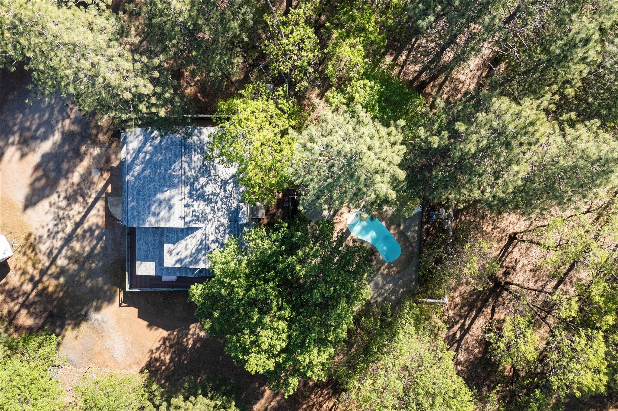 26997 Lookout Mountain Road Oak Run, CA 96069 - Photo 82 of 92 a picture of trees