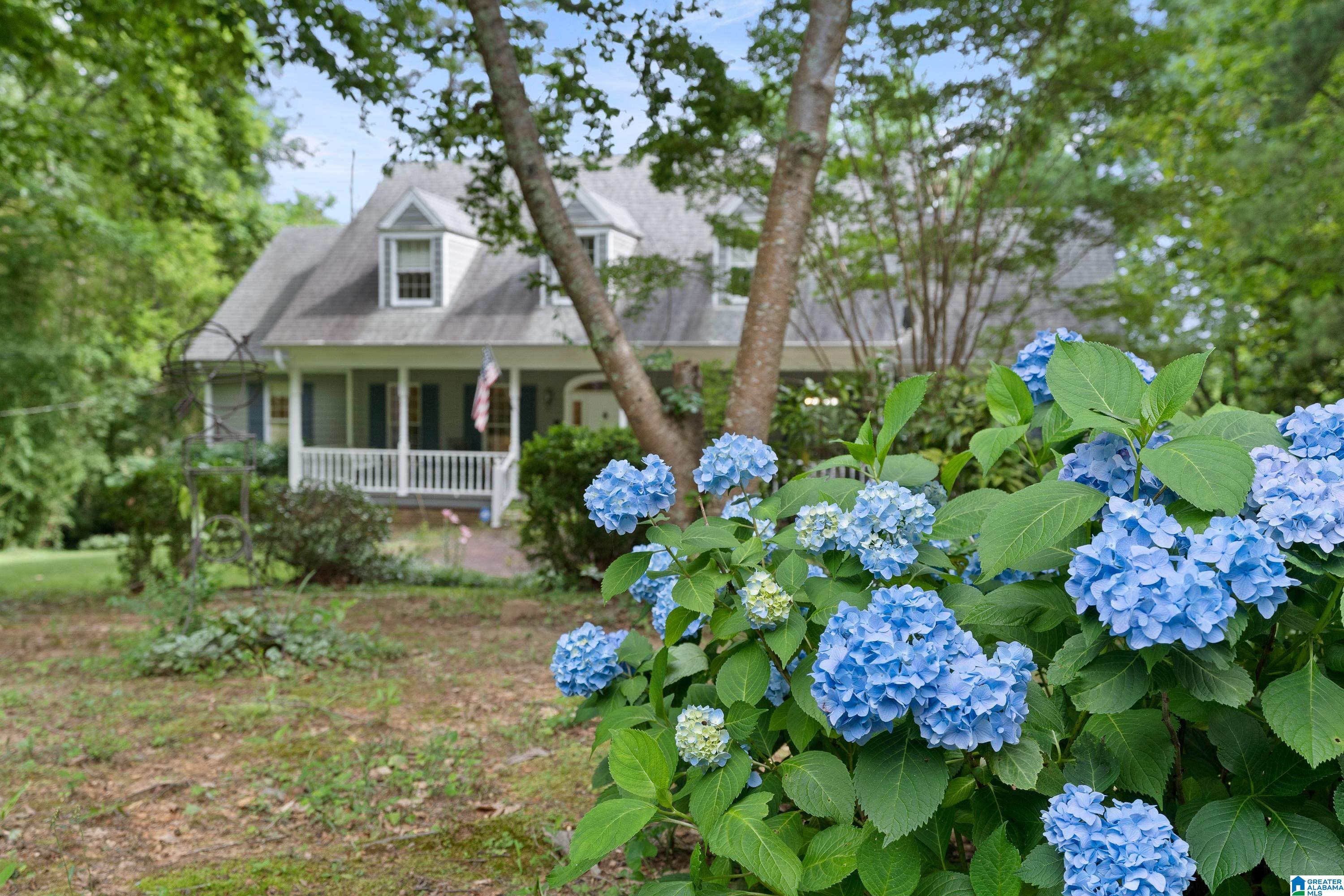 3119 Old Ivy Road Birmingham, AL 35210 - Photo 2 of 66