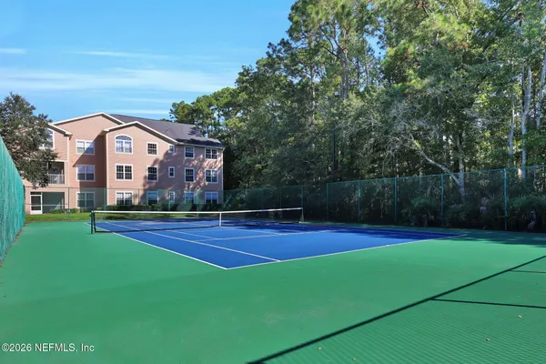 a view of a park with a large tree