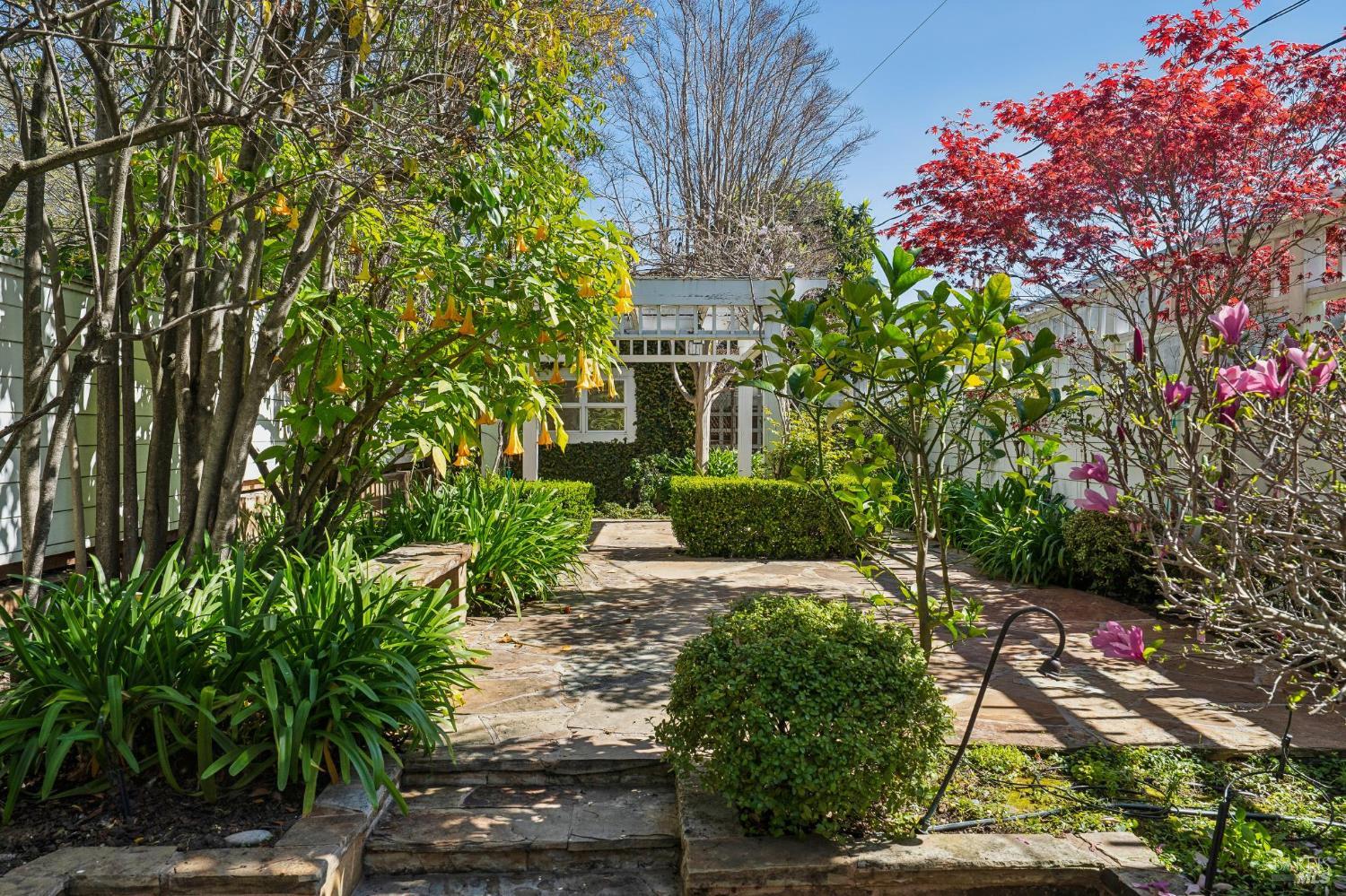102 F Street San Rafael, CA 94901 - Photo 43 of 80 a front view of a house with a yard
