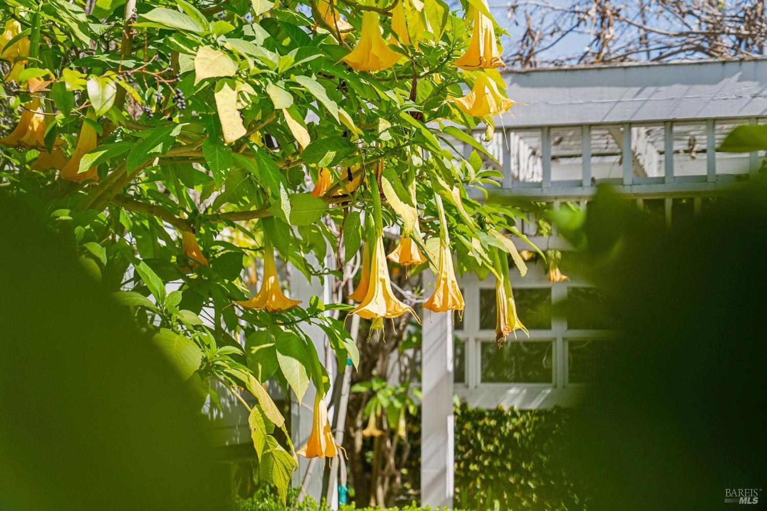 102 F Street San Rafael, CA 94901 - Photo 44 of 80