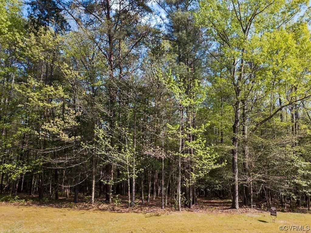 224 Kinloch Road Manakin-Sabot, VA 23103 - Photo 3 of 8 a view of a yard with palm trees