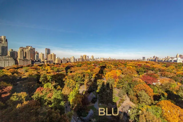 $24,000,000 | 106 Central Park South, Unit 21AE | Central Park South