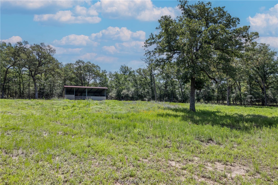 7132 Serenity Ranch Road Somerville, TX 77879 - Photo 1 of 27