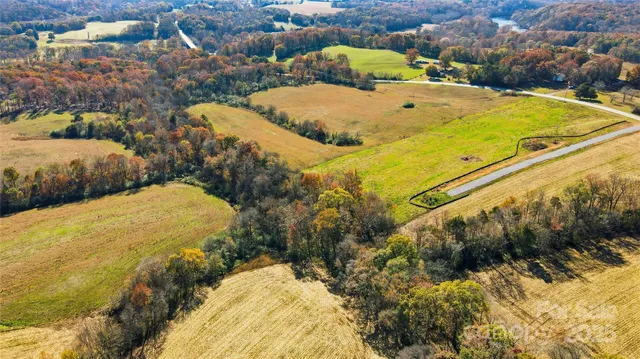 a blue swimming pool with a yard plants and large tree