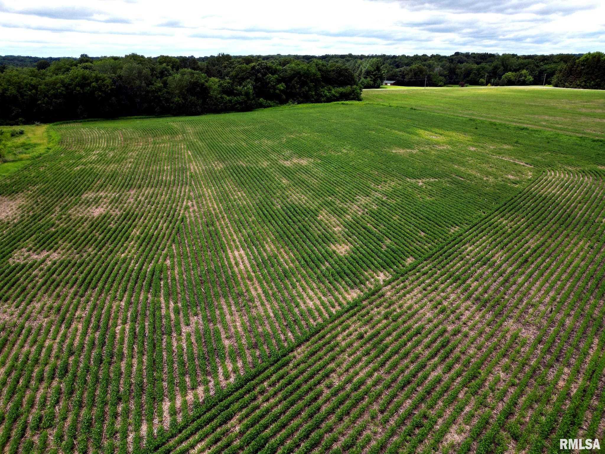 0 North Jackson Road Canton, IL 61520 - Photo 13 of 18