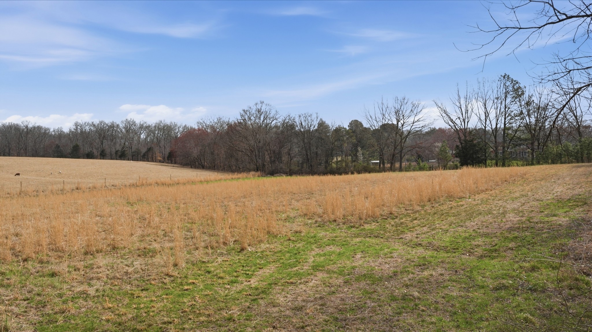 0 Short Springs Road Tullahoma, TN 37388 - Photo 1 of 6 Gallery Image 1