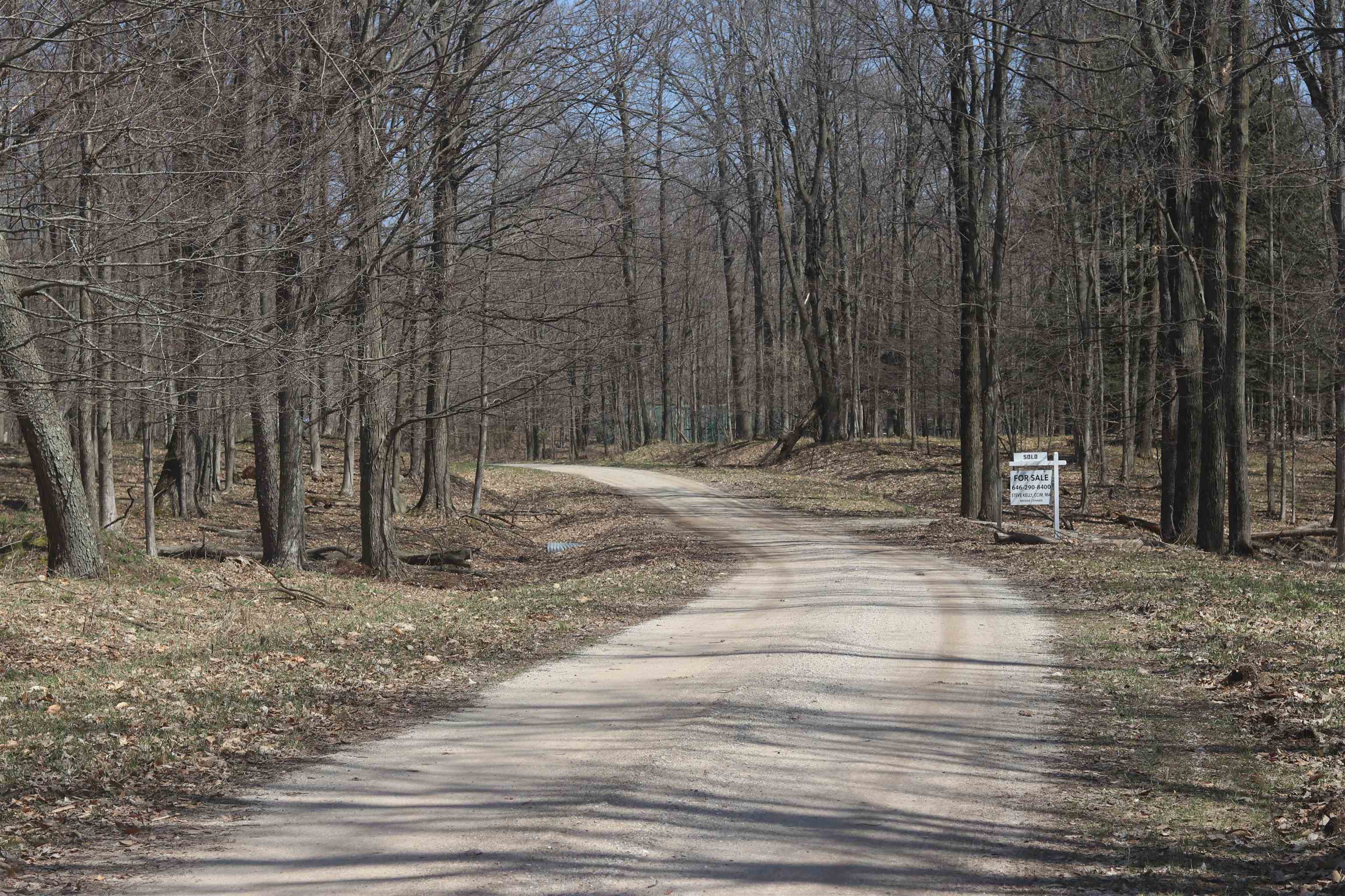 Lot 5 Crystal View Common Frankfort, MI 49635 - Photo 11 of 15