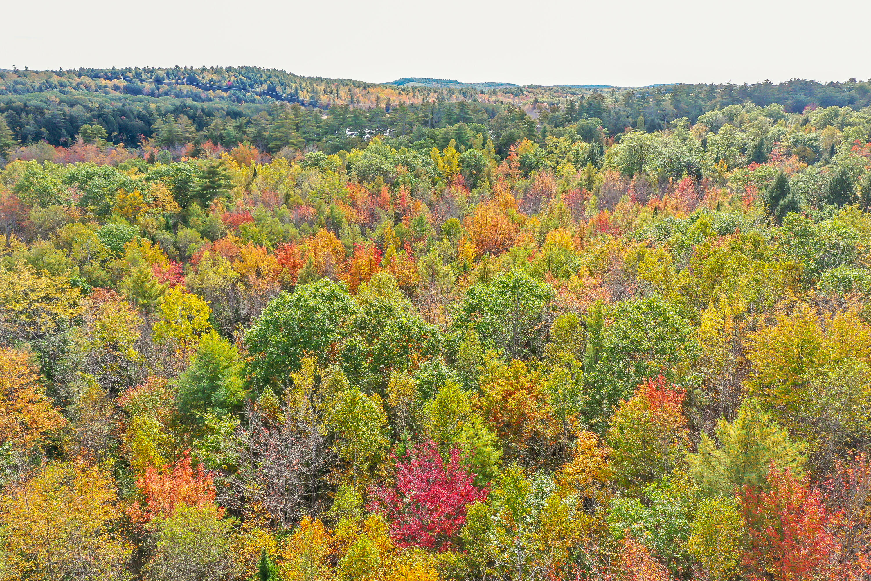 Lot #2 Turner Ridge Road Somerville, ME 04348 - Photo 7 of 8 8230