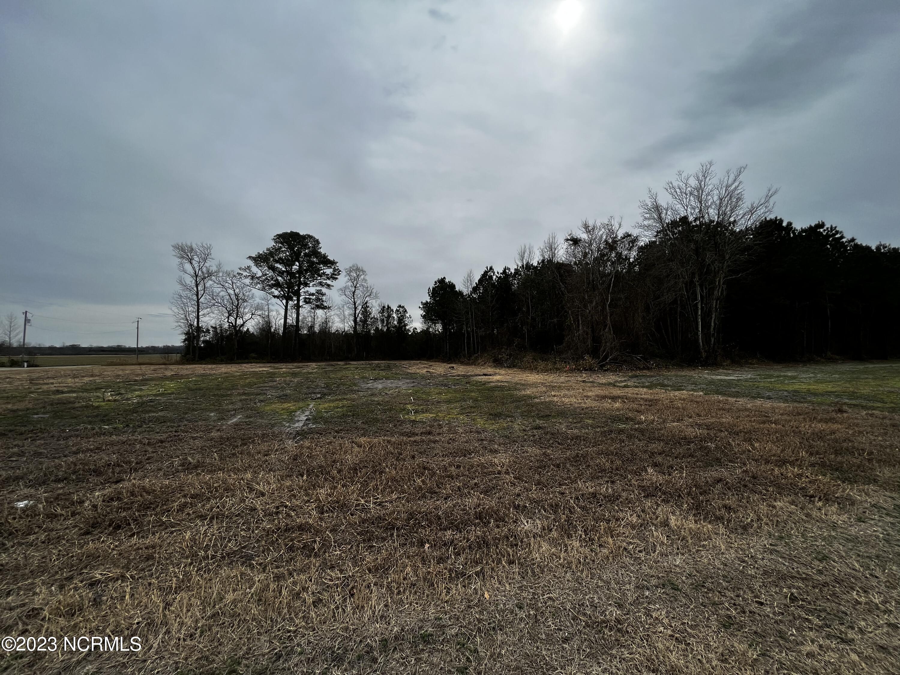 252 Ryland Road Tyner, NC 27980 - Photo 45 of 45 Extra acre available for purchase