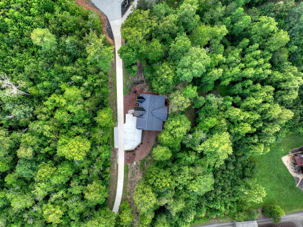 219 Staurolite Mountain Road Blue Ridge, GA 30513 - Photo 57 of 60