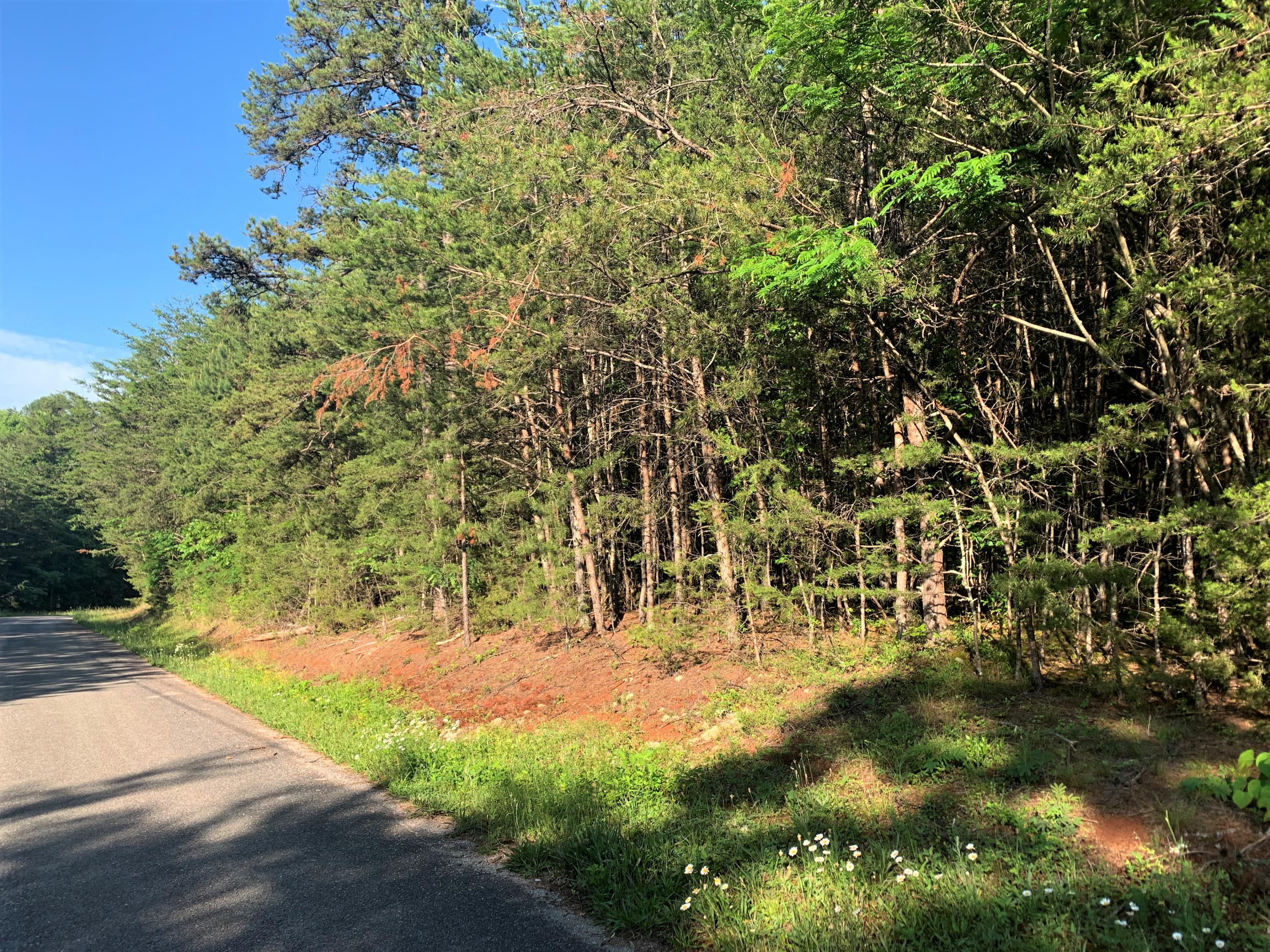 Lot 6 Tucson Road Newport, TN 37821 - Photo 1 of 5 02