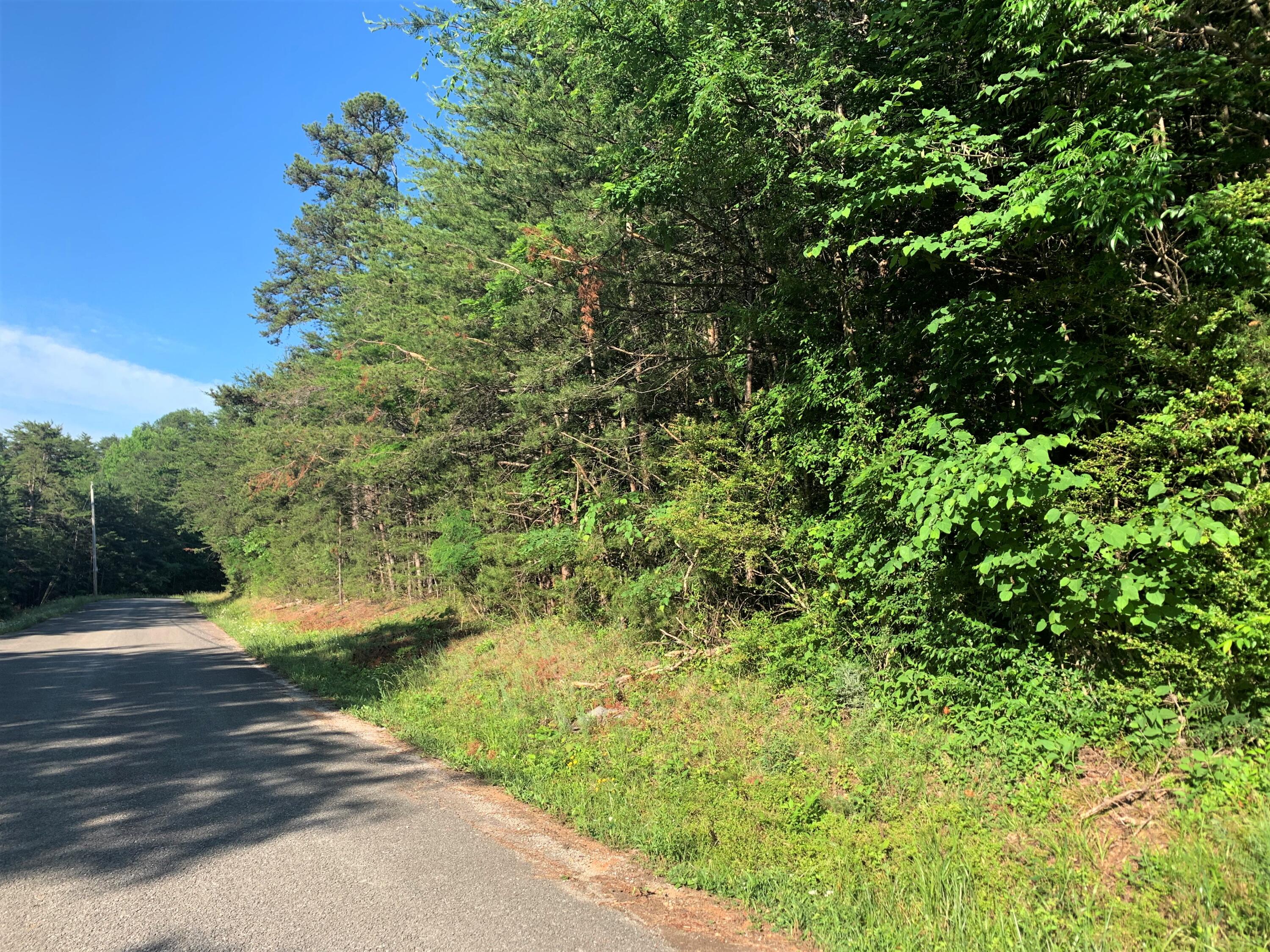 Lot 6 Tucson Road Newport, TN 37821 - Photo 3 of 5 03