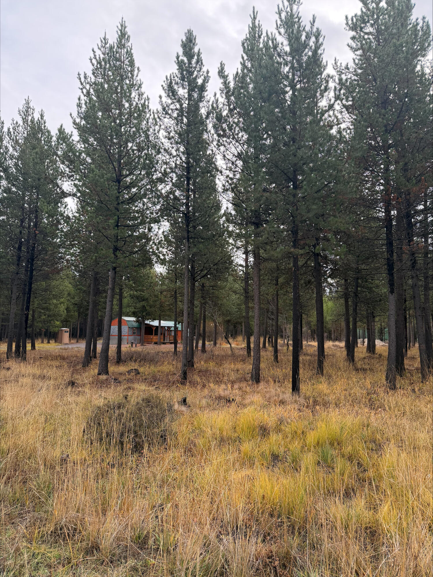 17107 Covina Road Bend, OR 97707 - Photo 6 of 8 FullLot