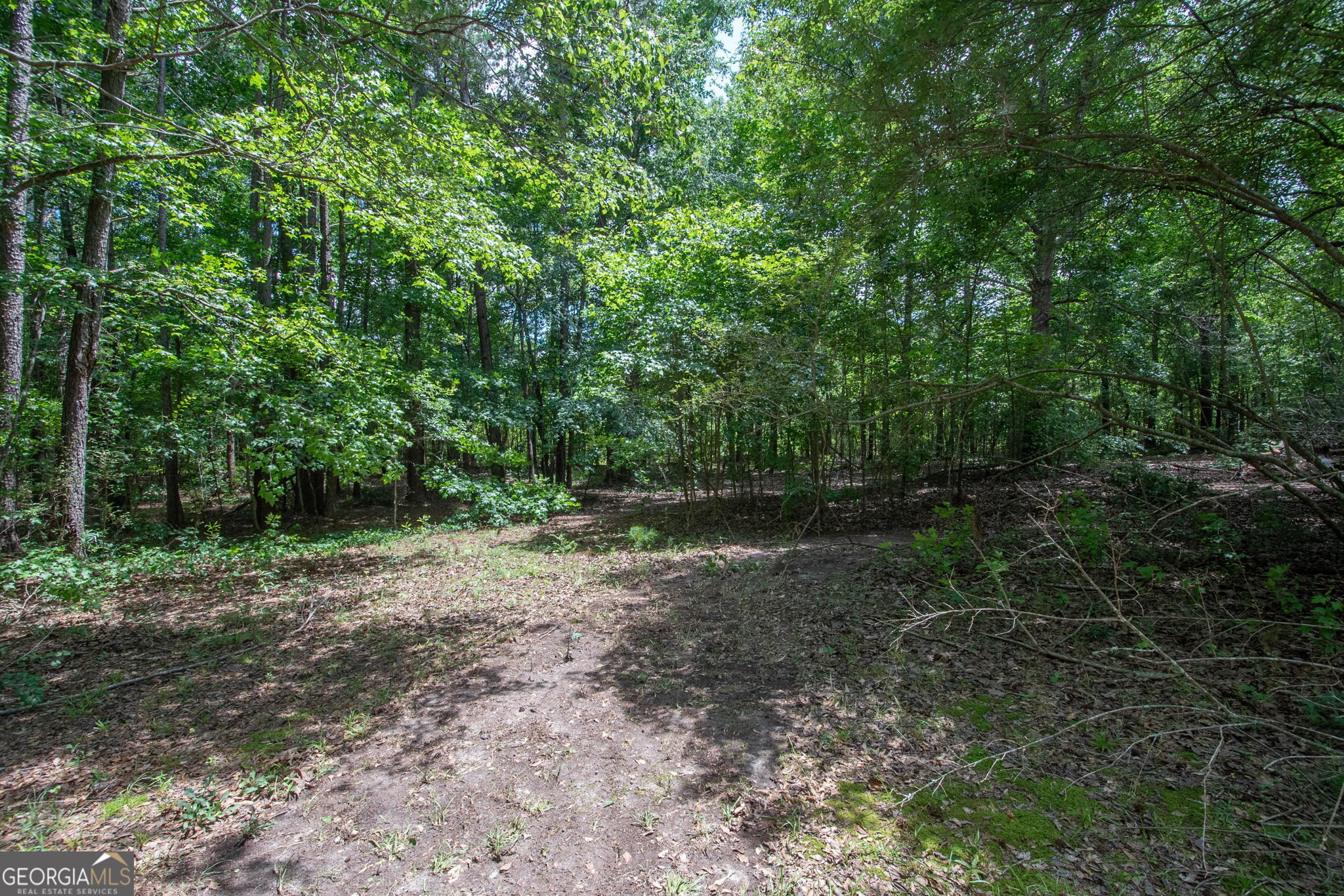 180 Dean Road Greenville, GA 30222 - Photo 36 of 39
