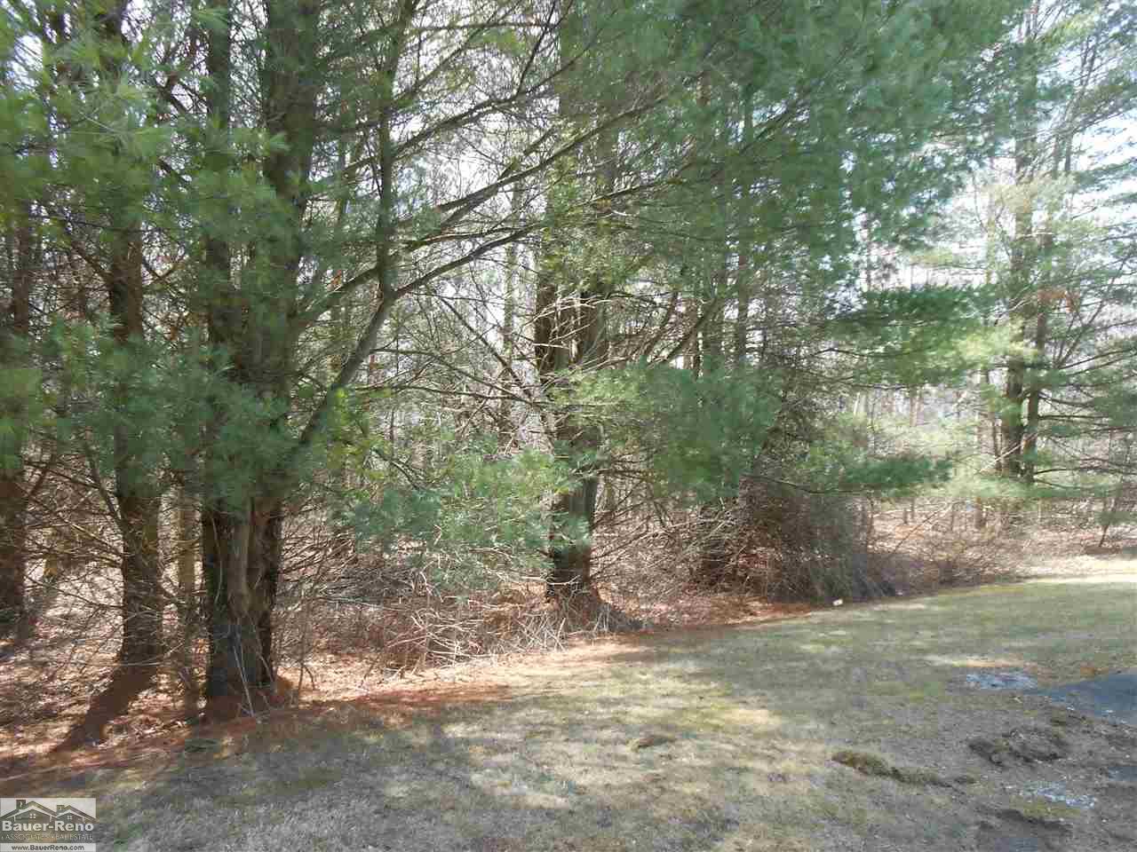 7146 East Applegate Road Applegate, MI 48401 - Photo 5 of 24