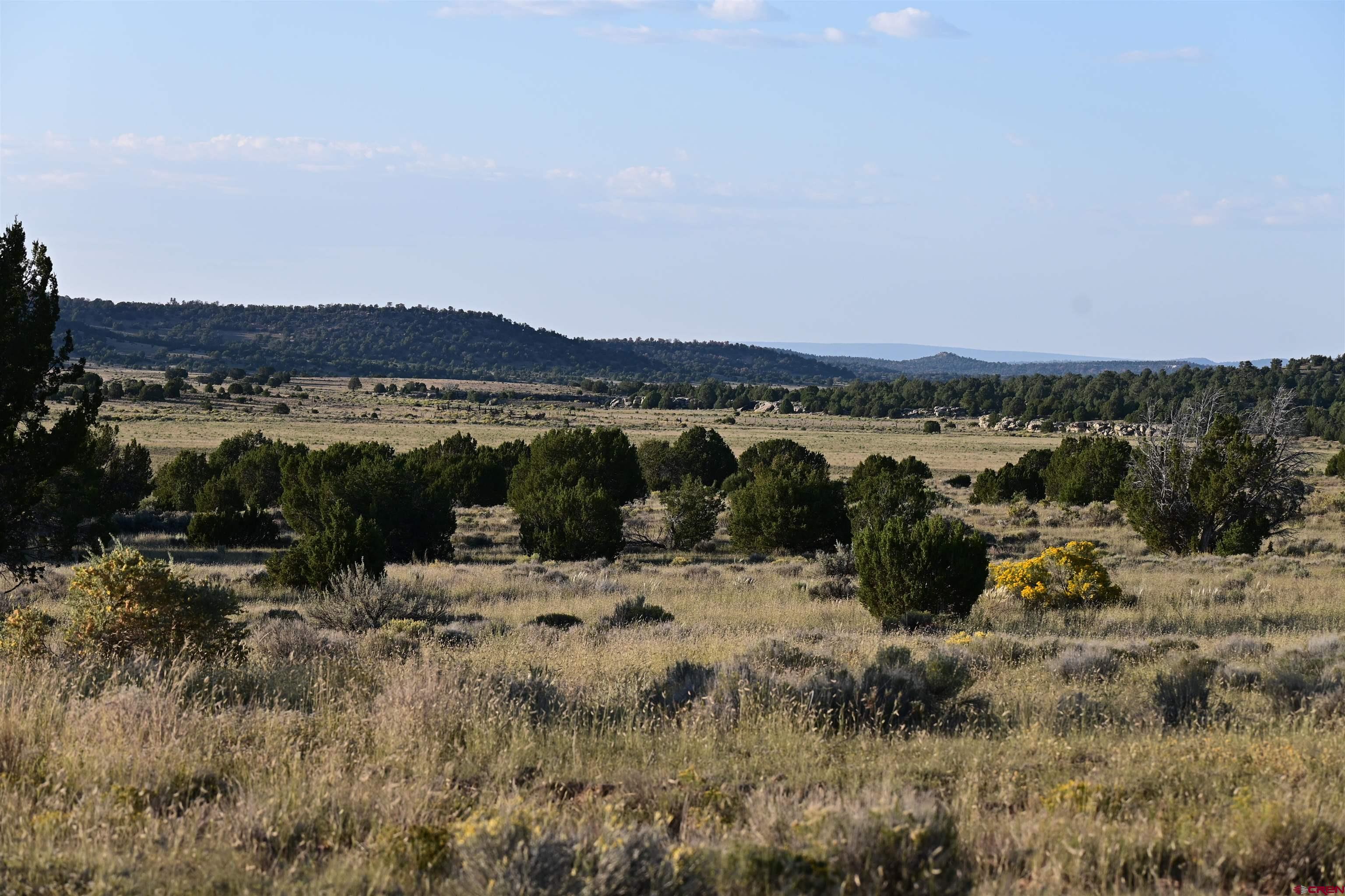 Tbd Five Gate Road Ramah, NM 87321 - Photo 1 of 7 a view of a lake with mountains in the background