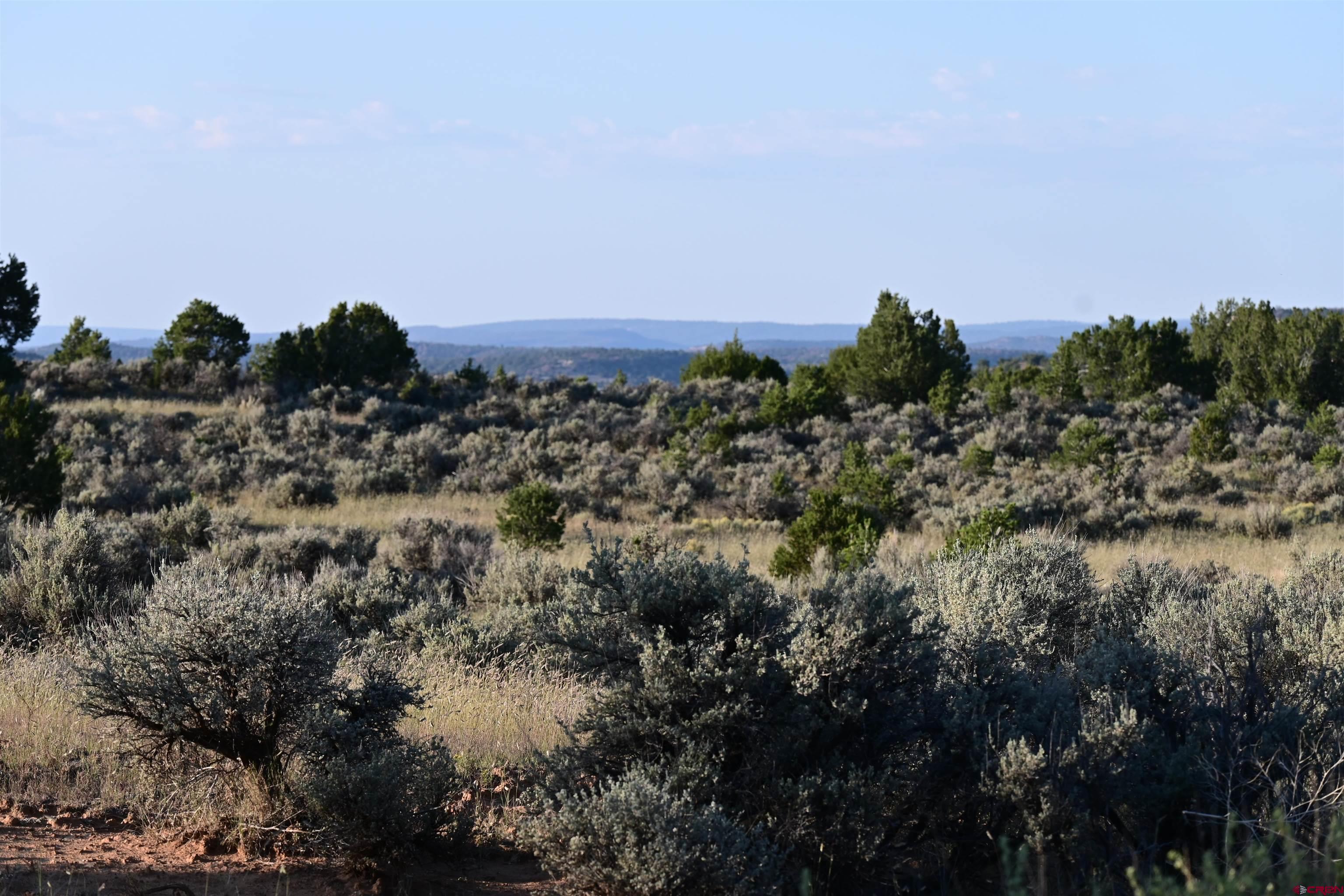 Tbd Five Gate Road Ramah, NM 87321 - Photo 2 of 7 a view of a bunch of trees and bushes