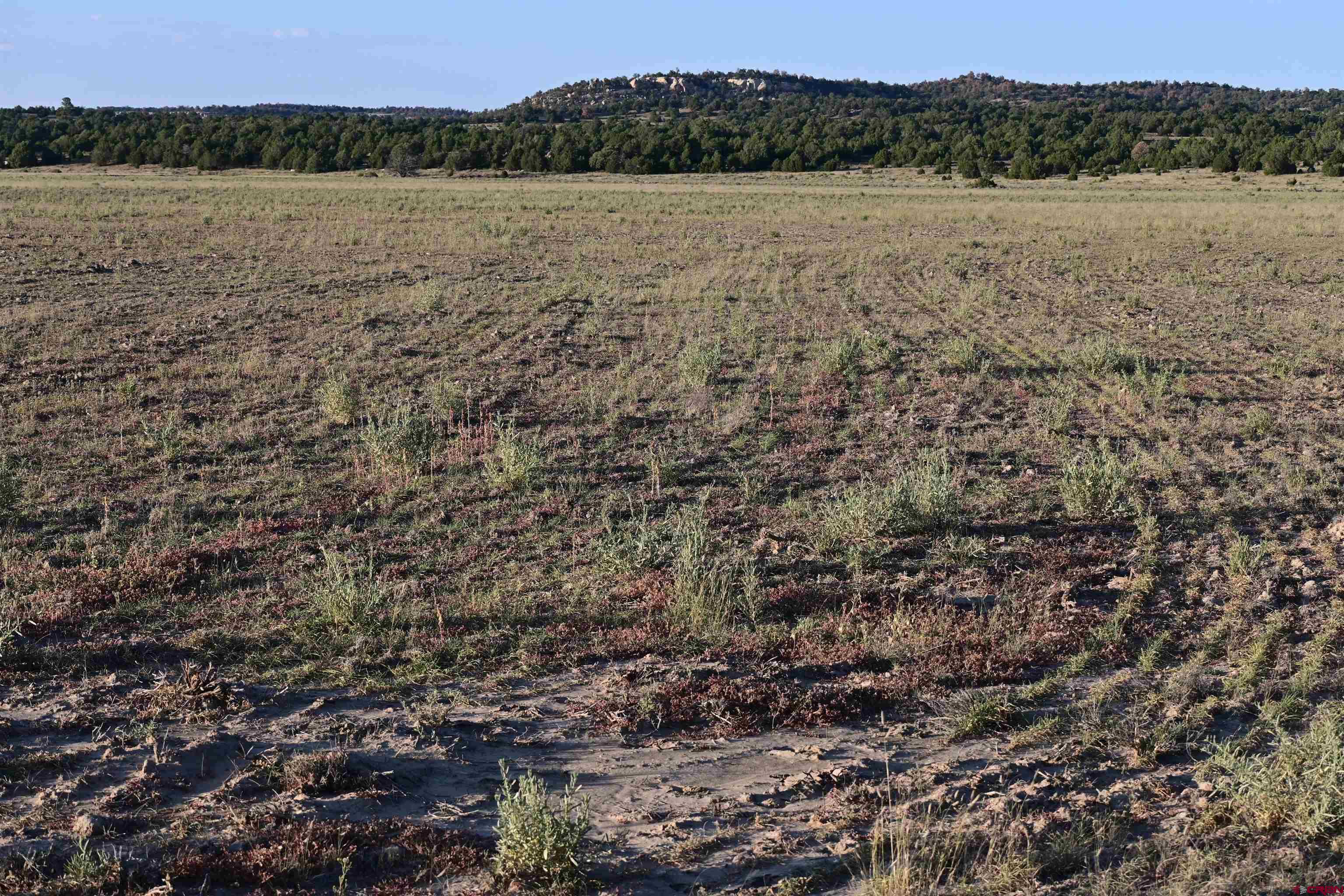 Tbd Five Gate Road Ramah, NM 87321 - Photo 3 of 7 a view of lake