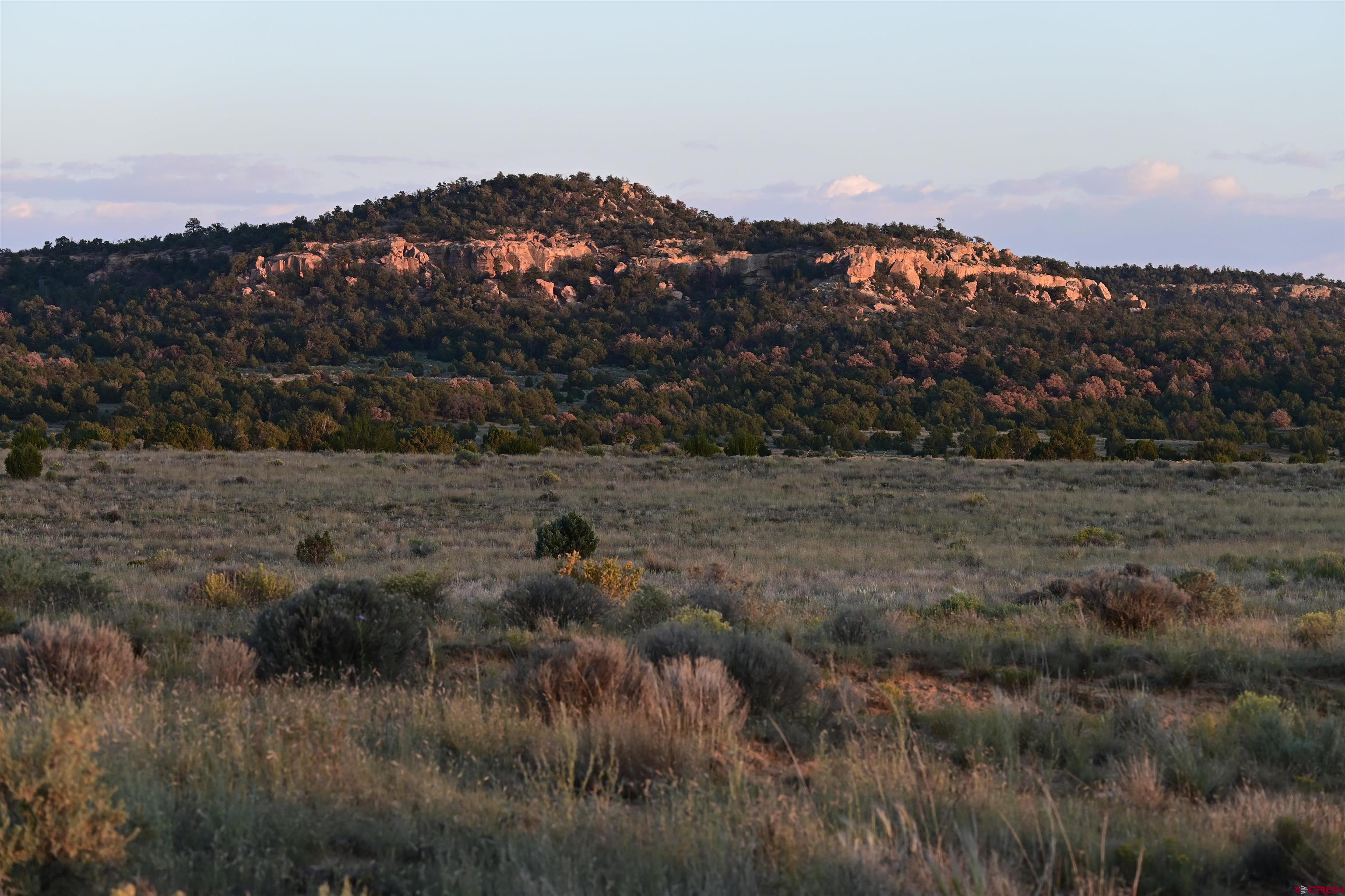 Tbd Five Gate Road Ramah, NM 87321 - Photo 4 of 7 a view of a dry yard