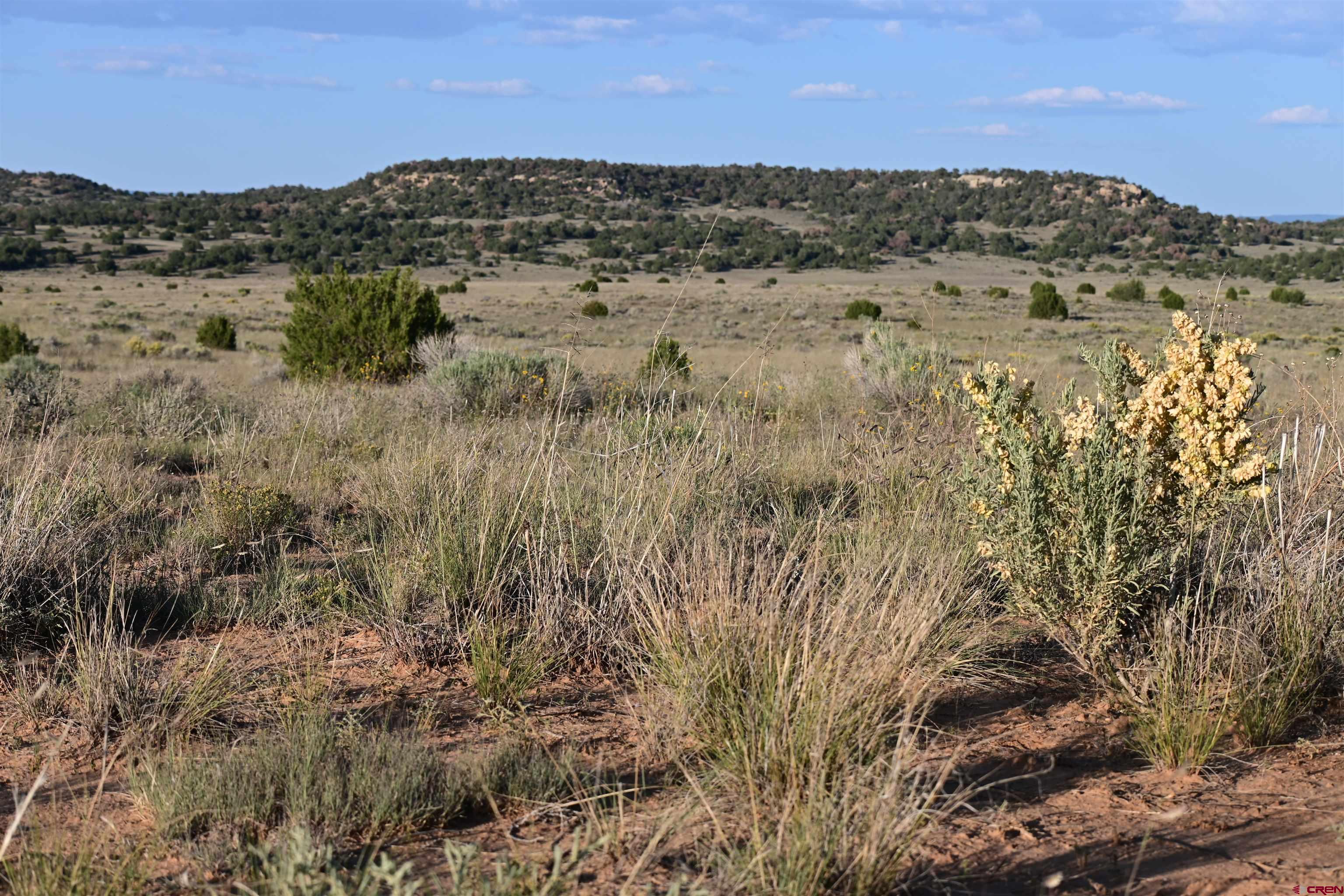 Tbd Five Gate Road Ramah, NM 87321 - Photo 6 of 7 a view of lake and mountain