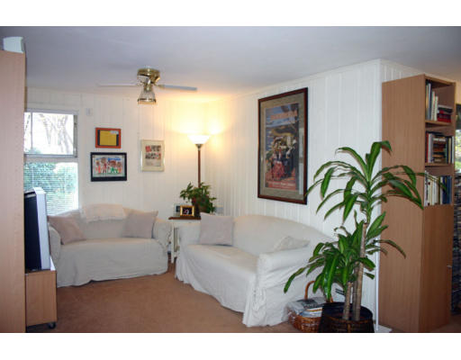 12 Ruth Drive Framingham, MA 01701 - Photo 6 of 10 a living room with furniture and a potted plant