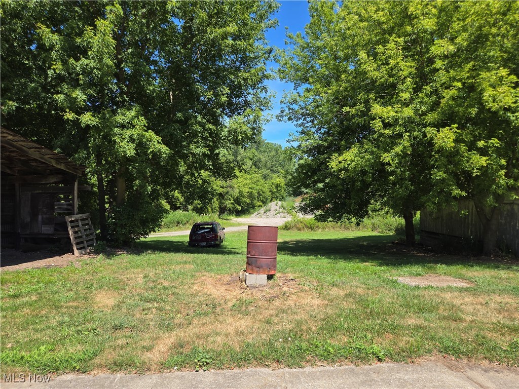 5555 Detroit Road Sheffield, OH 44054 - Photo 46 of 50 View of yard