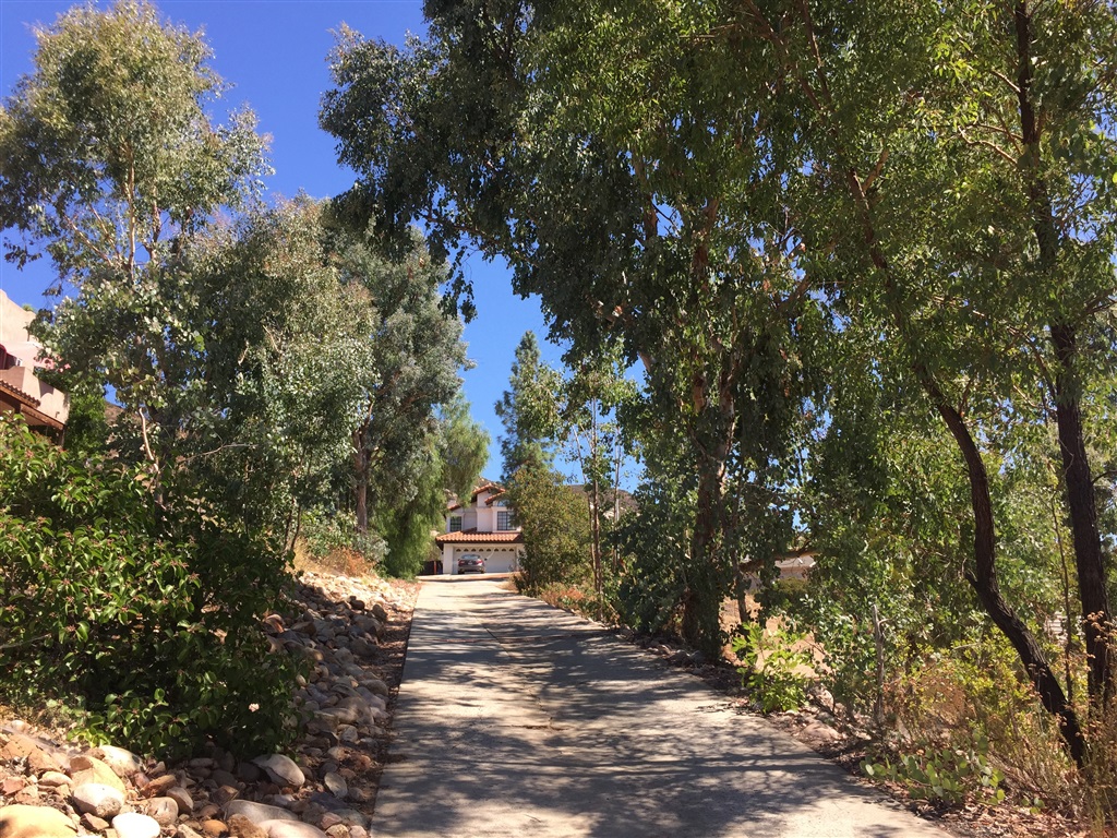 24556 Rutherford Road Ramona, CA 92065 - Photo 2 of 19