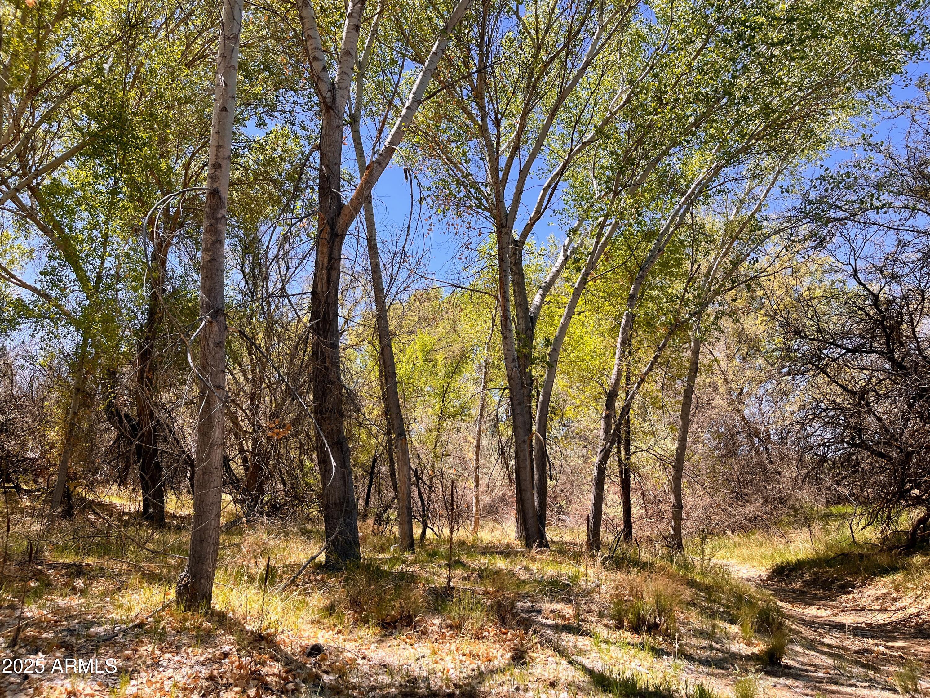 2900 Old Skull Valley Road Skull Valley, AZ 86338 - Photo 5 of 21 IMG_0209